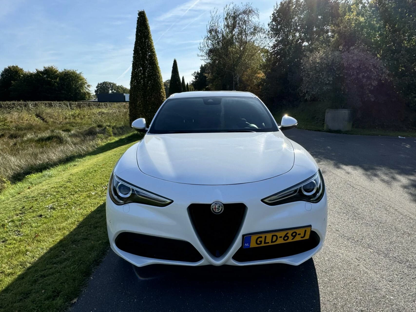 Hoofdafbeelding Alfa Romeo Stelvio