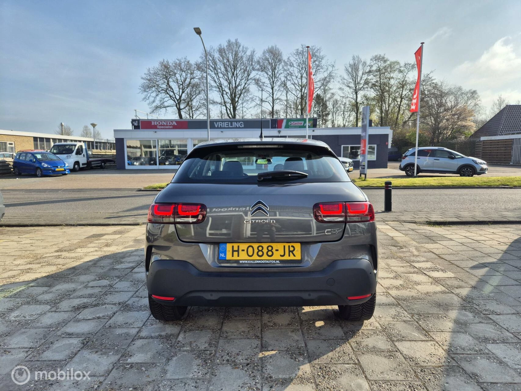 Hoofdafbeelding Citroën C4 Cactus
