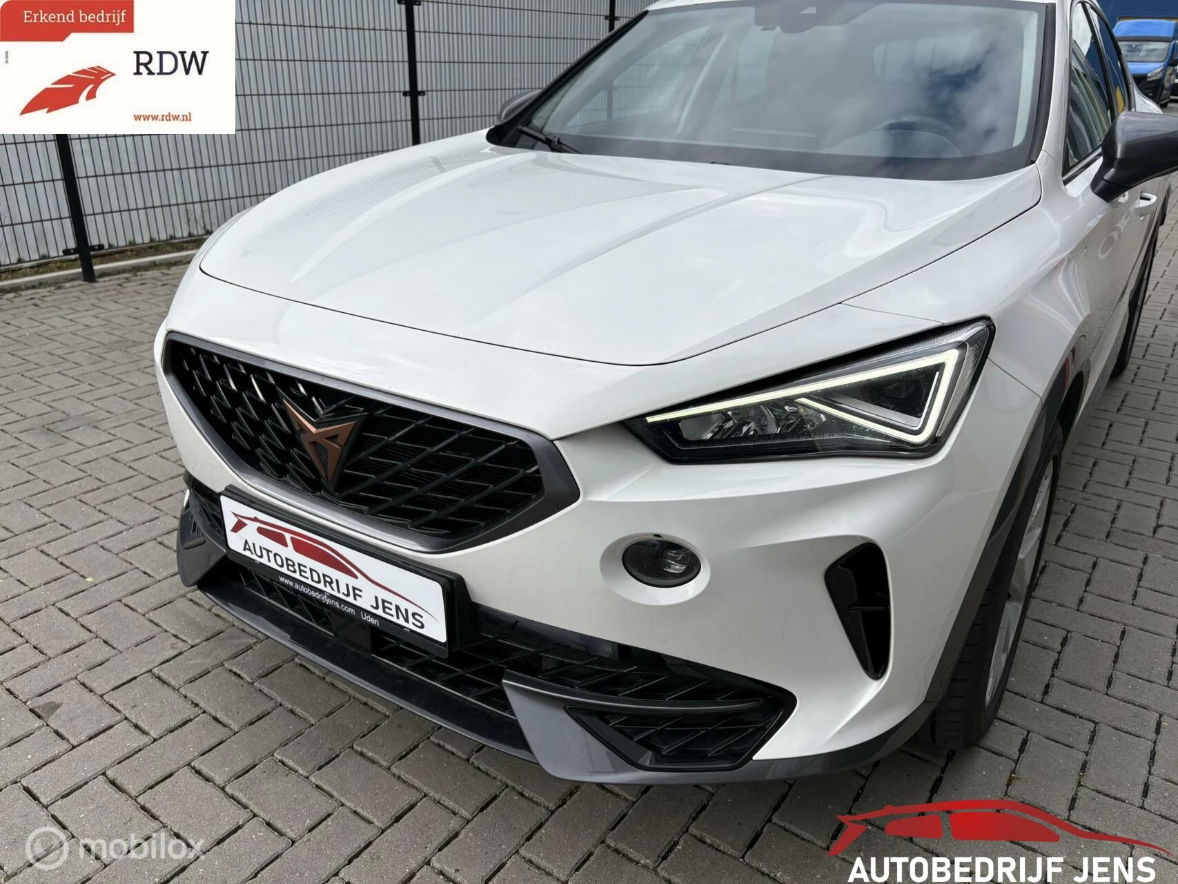 Hoofdafbeelding CUPRA Formentor