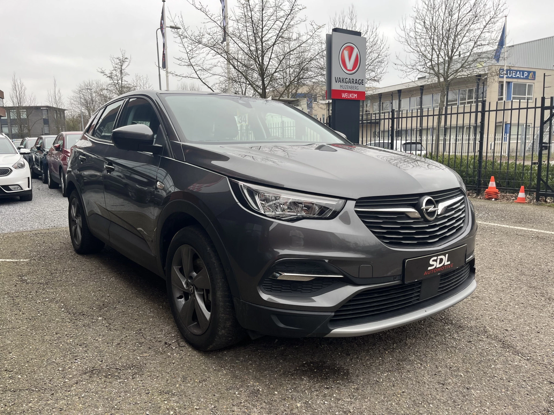 Hoofdafbeelding Opel Grandland X