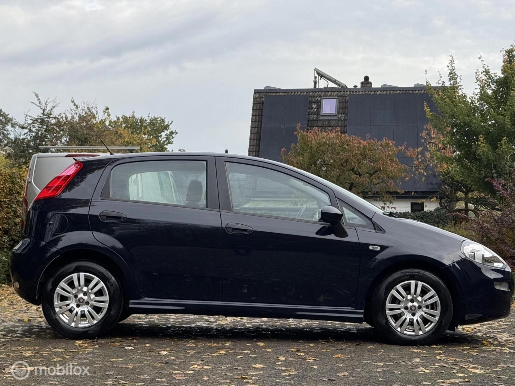 Hoofdafbeelding Fiat Punto