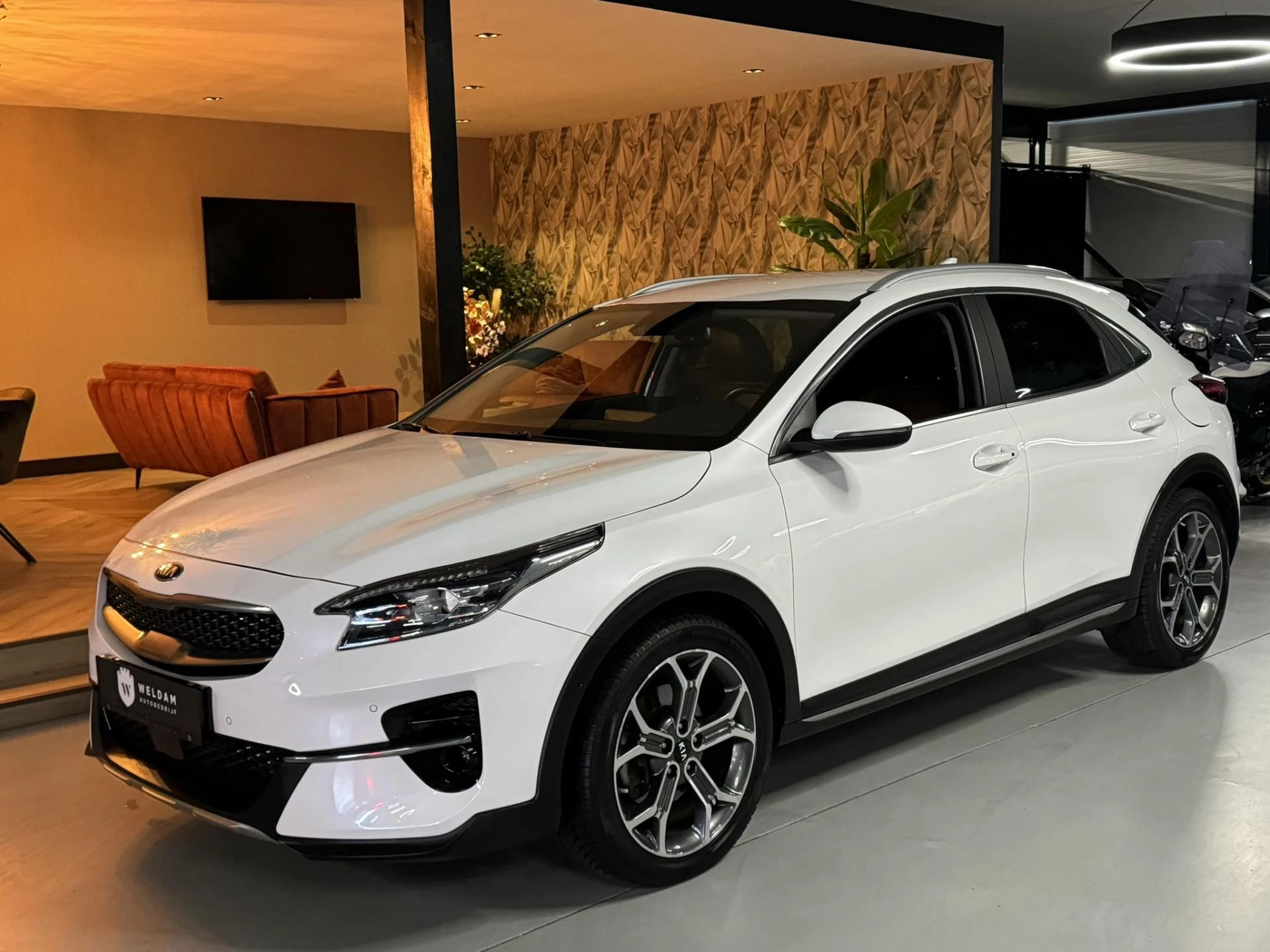 Hoofdafbeelding Kia XCeed
