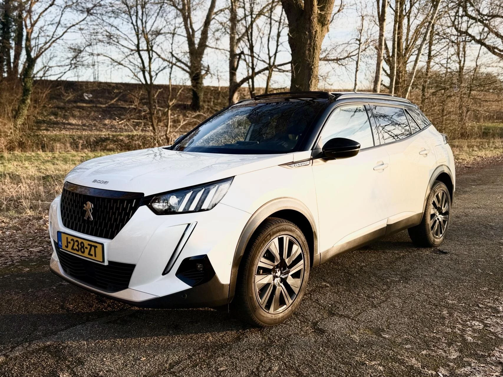 Hoofdafbeelding Peugeot 2008