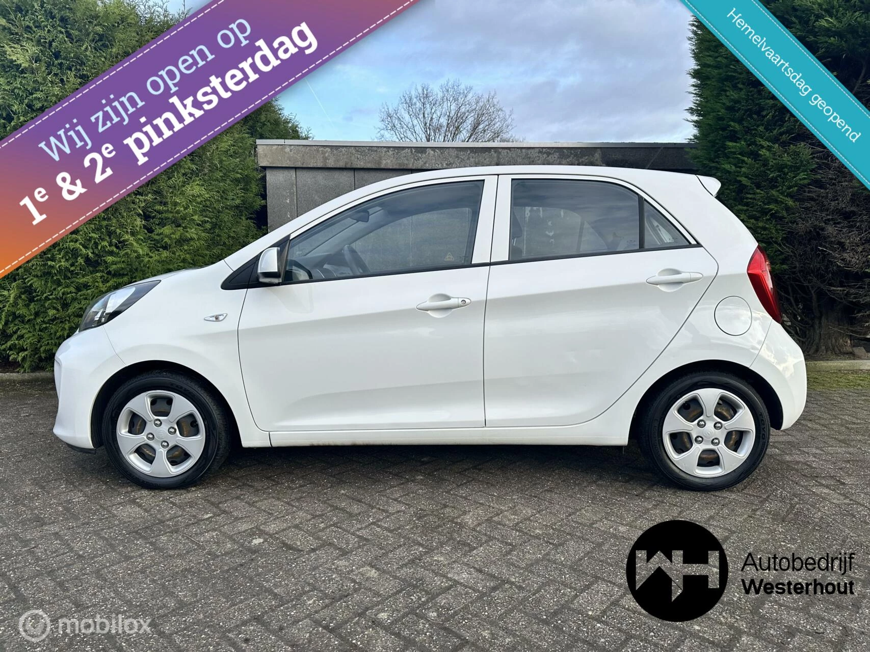 Hoofdafbeelding Kia Picanto