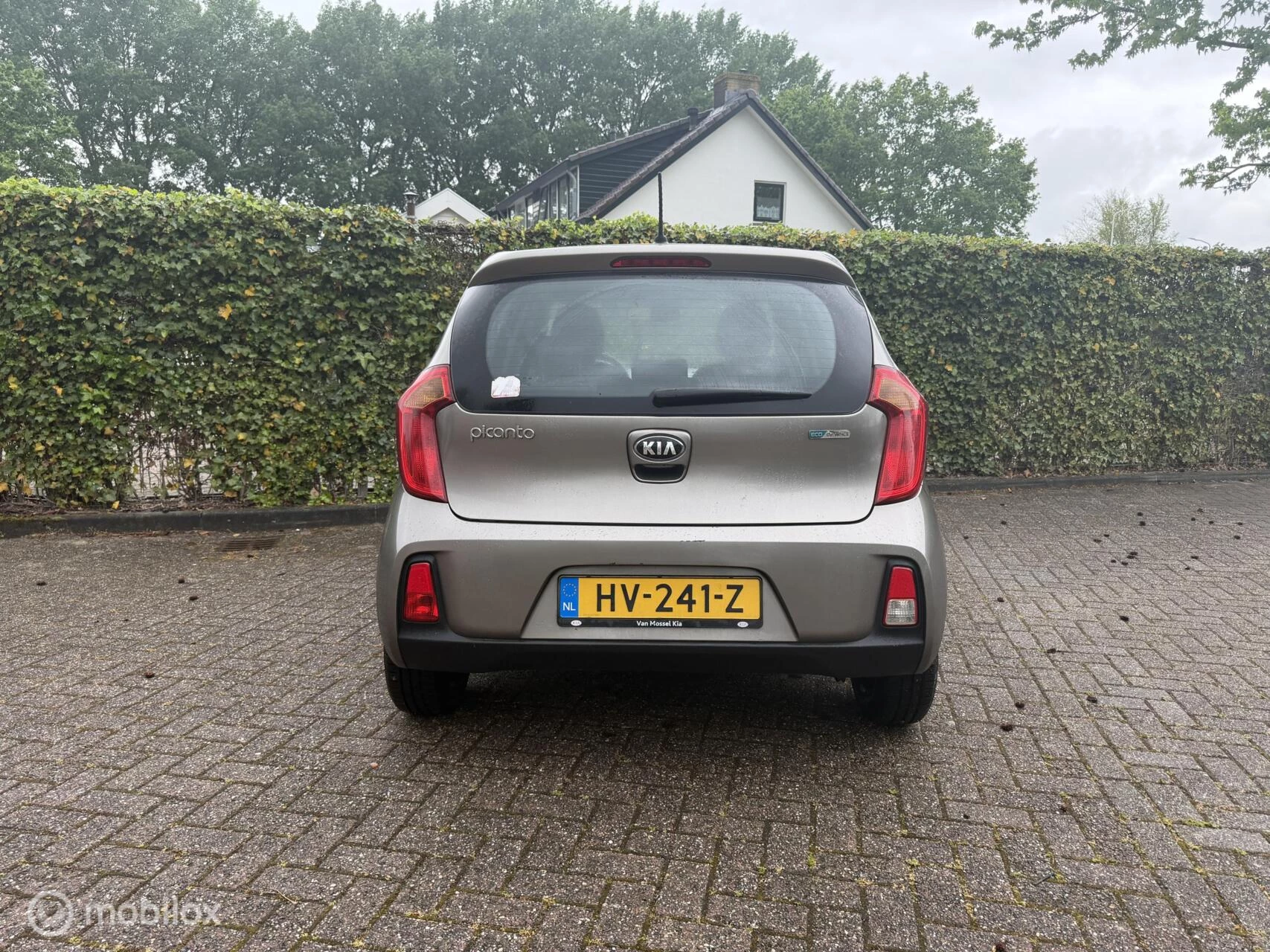 Hoofdafbeelding Kia Picanto