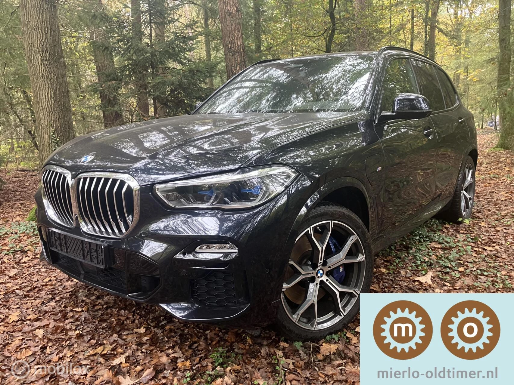 Hoofdafbeelding BMW X5