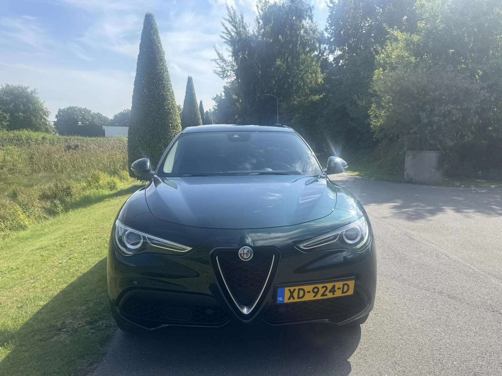 Hoofdafbeelding Alfa Romeo Stelvio