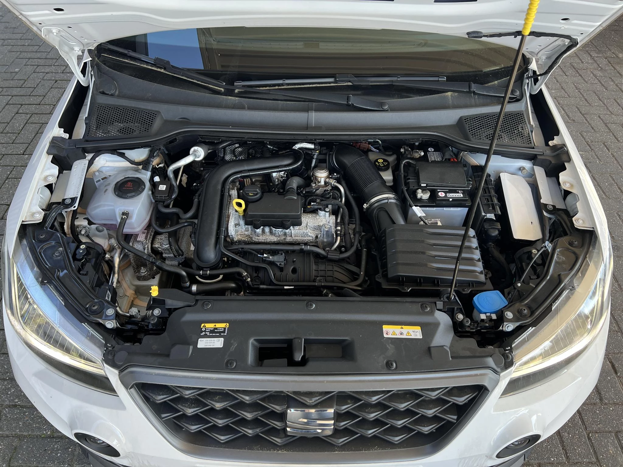 Hoofdafbeelding SEAT Arona