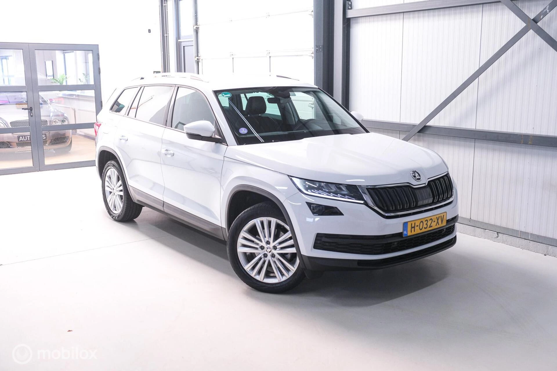 Hoofdafbeelding Škoda Kodiaq