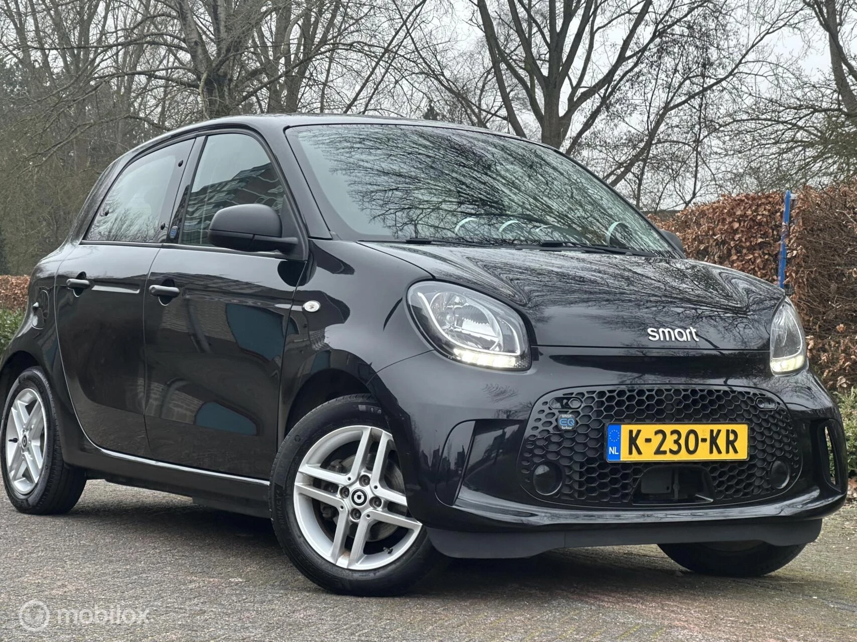 Hoofdafbeelding smart Forfour
