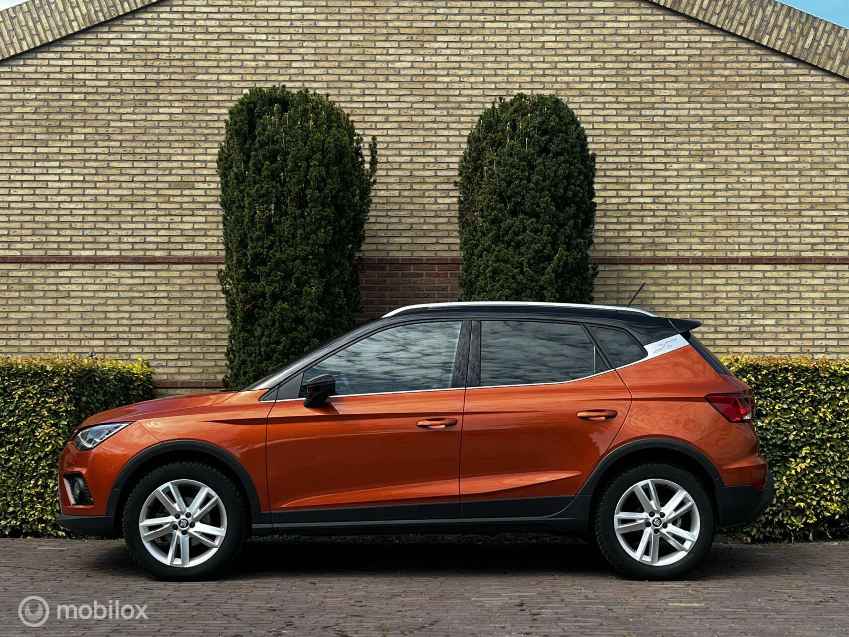 Hoofdafbeelding SEAT Arona