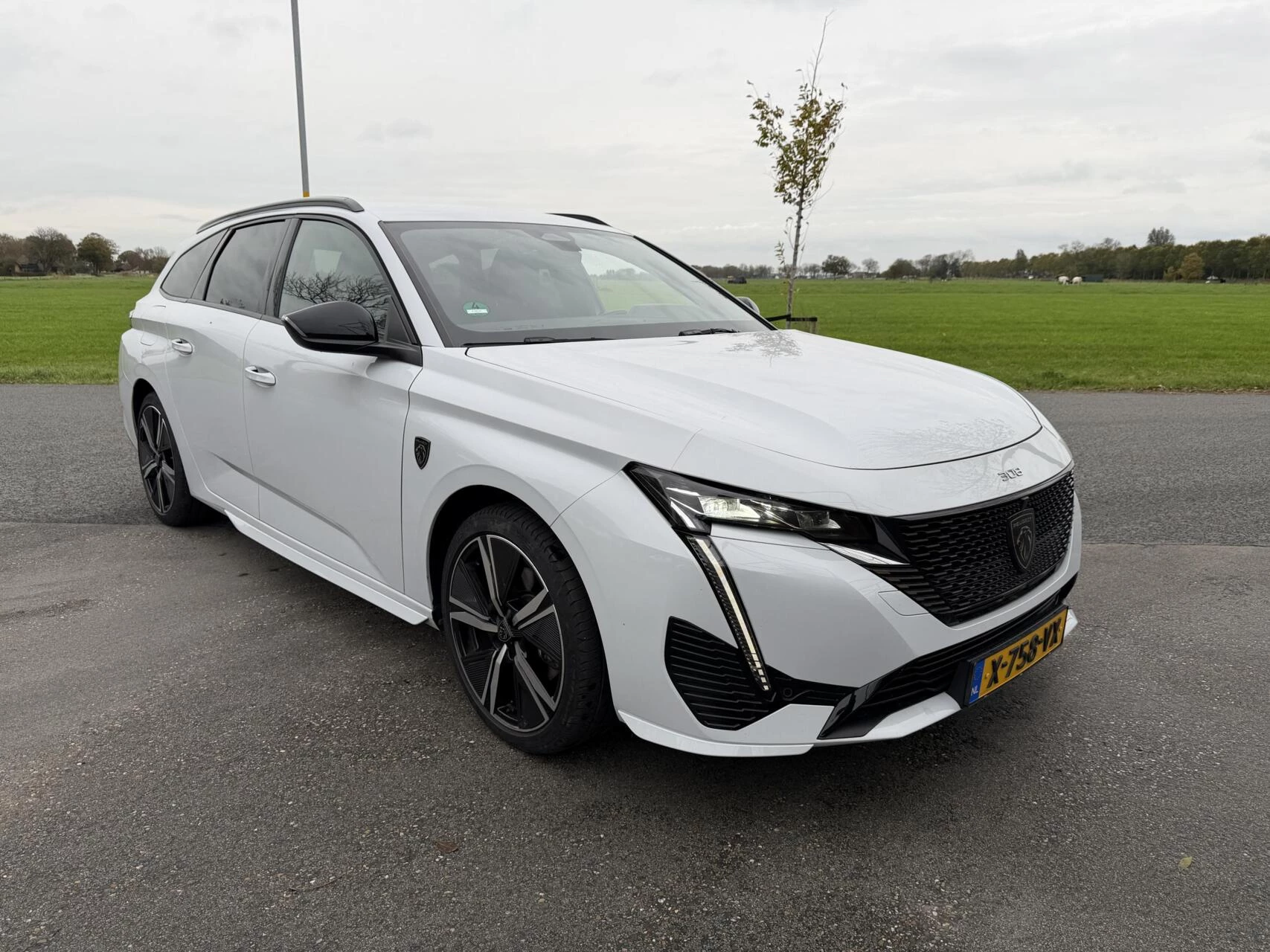 Hoofdafbeelding Peugeot 308