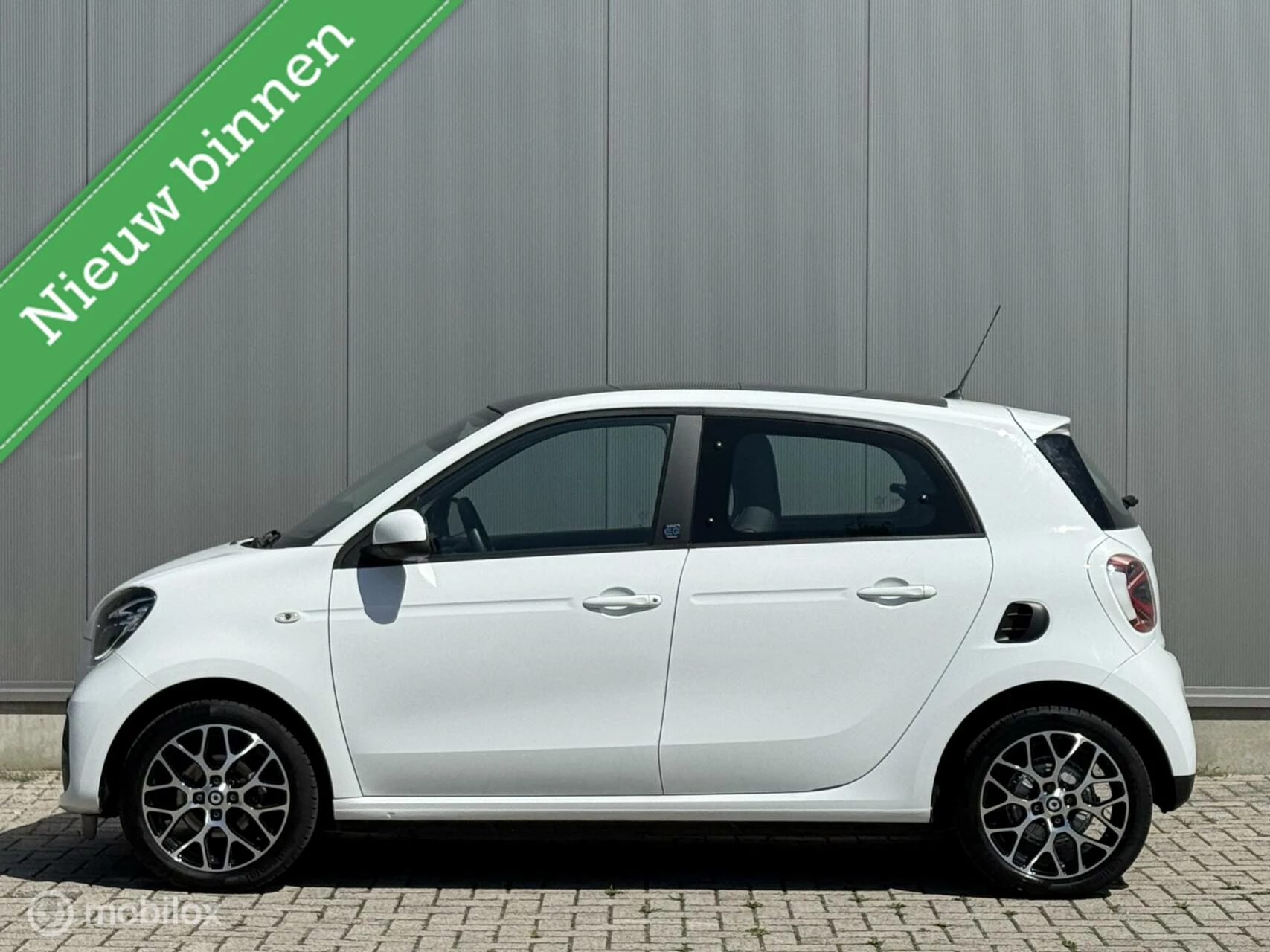Hoofdafbeelding Smart Forfour
