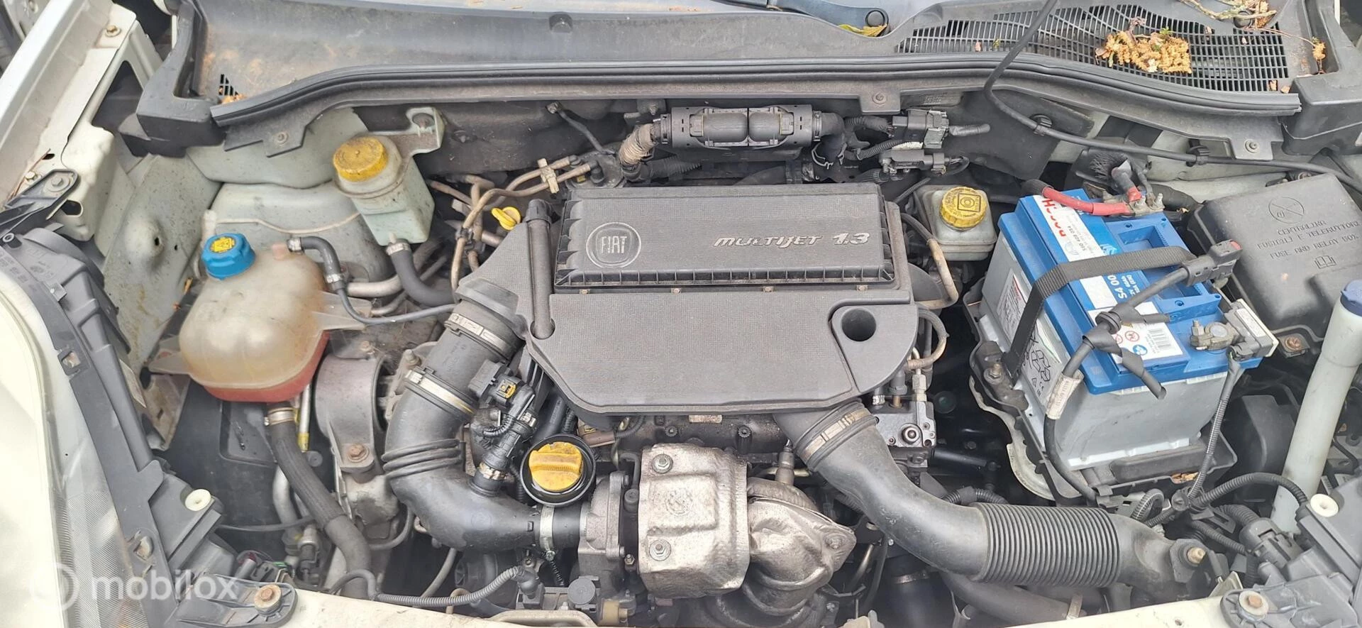 Hoofdafbeelding Fiat Doblò