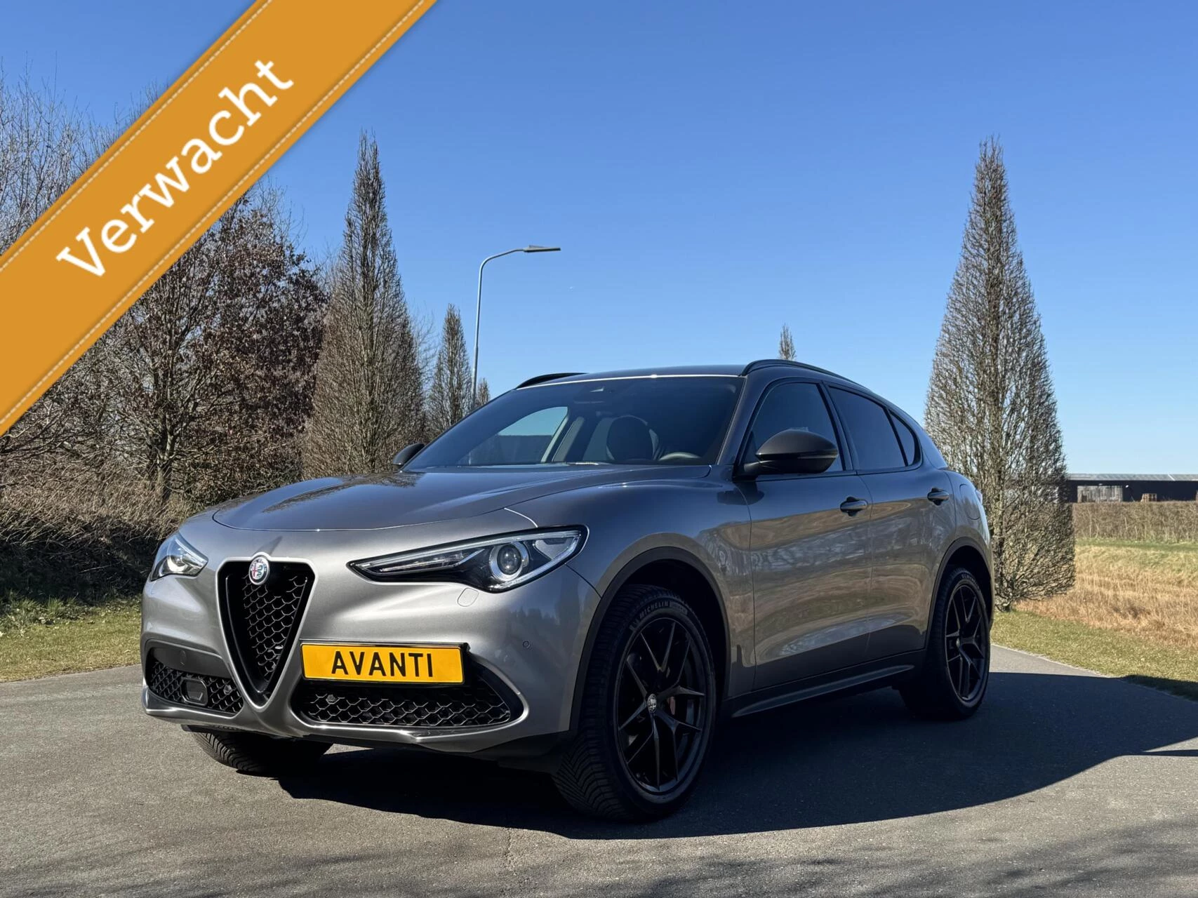 Hoofdafbeelding Alfa Romeo Stelvio