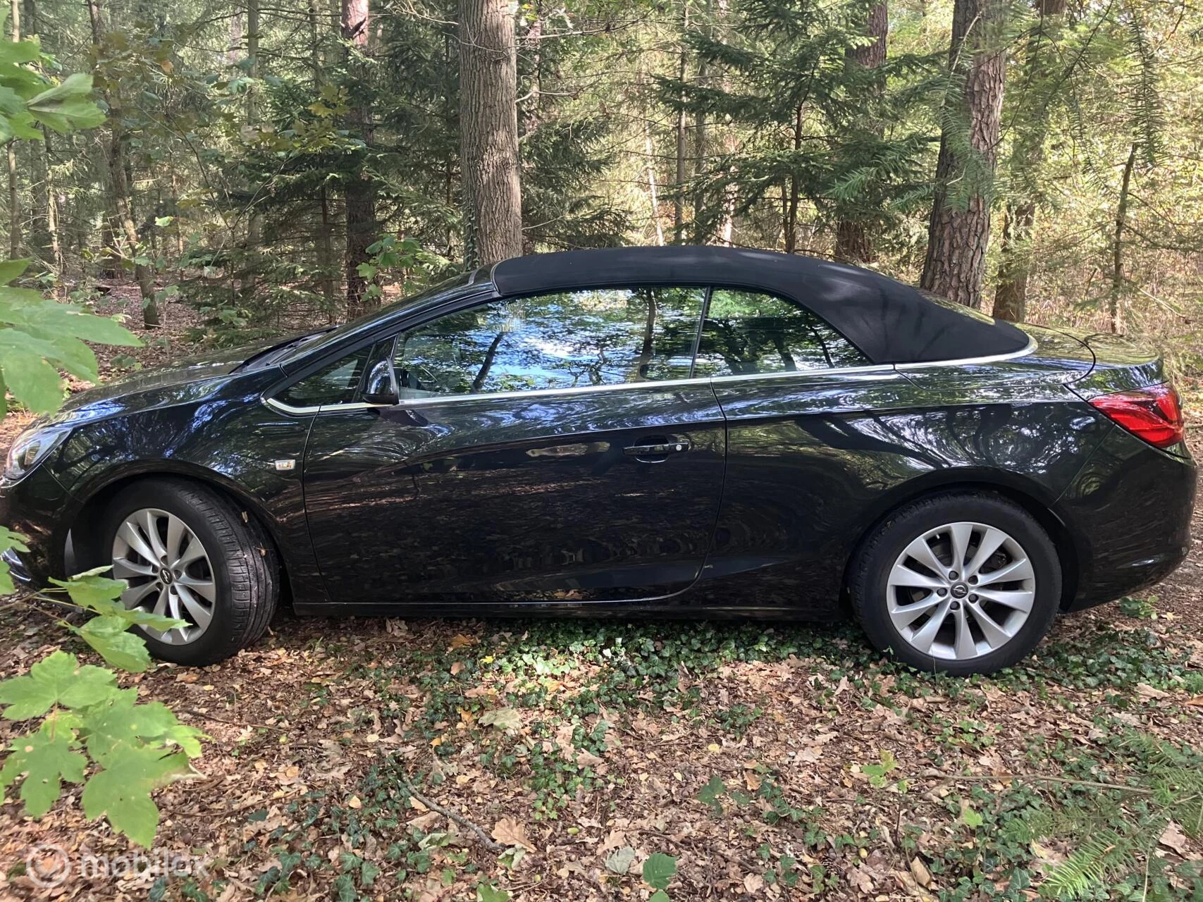 Hoofdafbeelding Opel Cascada