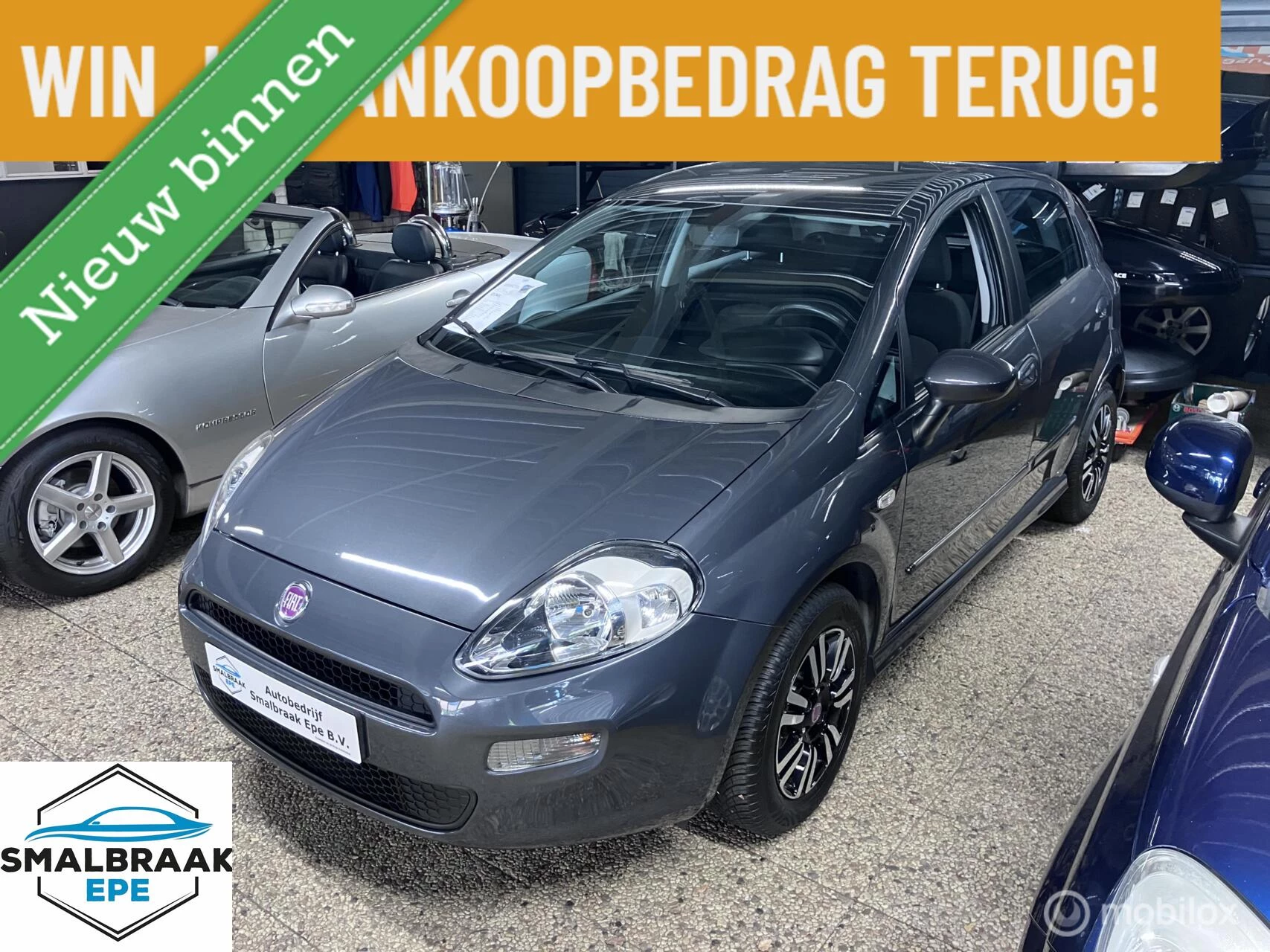 Hoofdafbeelding Fiat Punto