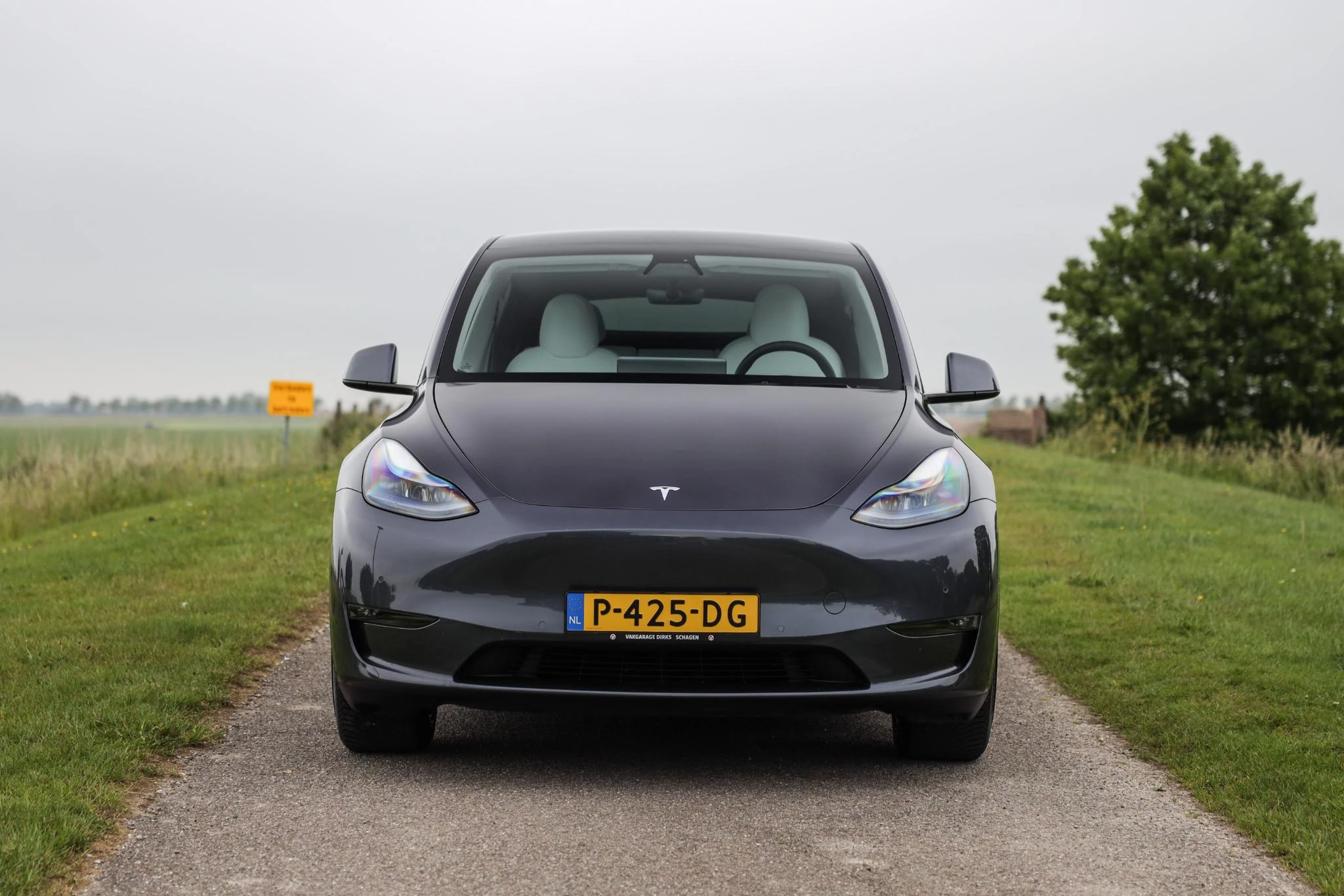 Hoofdafbeelding Tesla Model Y
