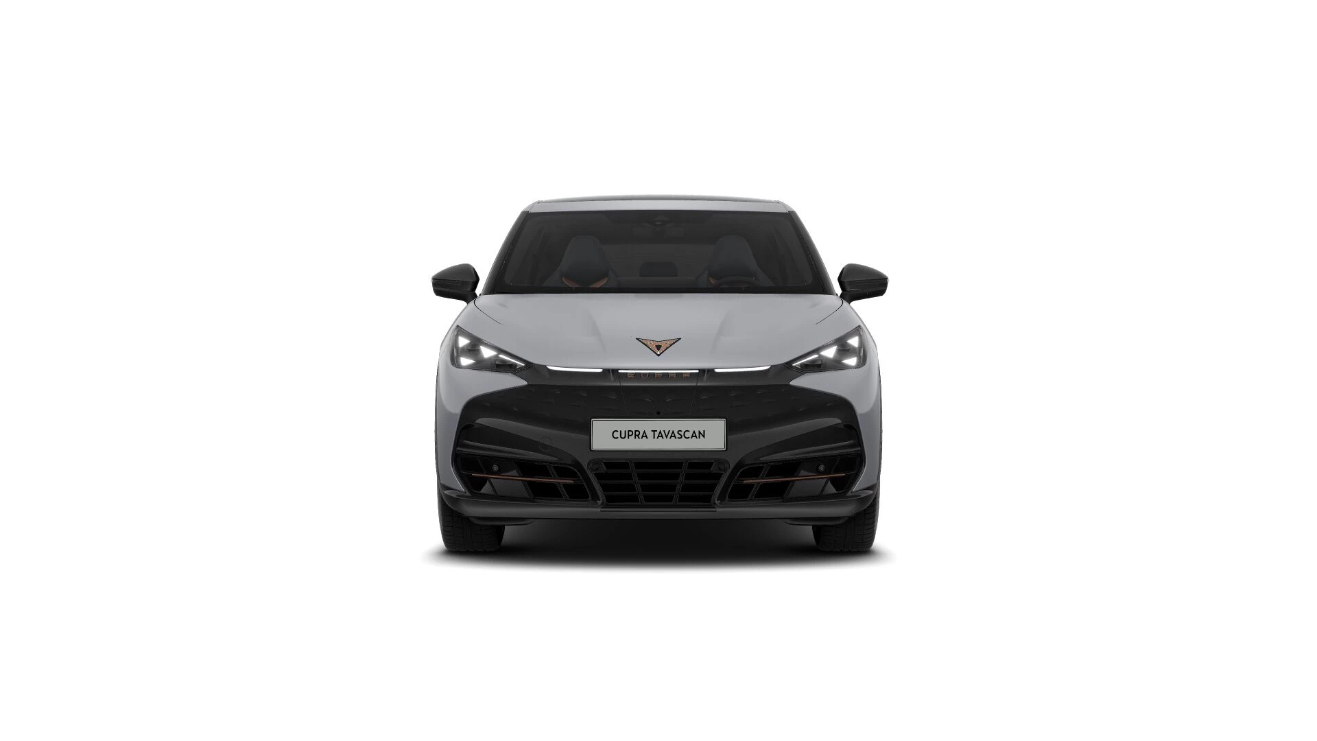 Hoofdafbeelding CUPRA Tavascan