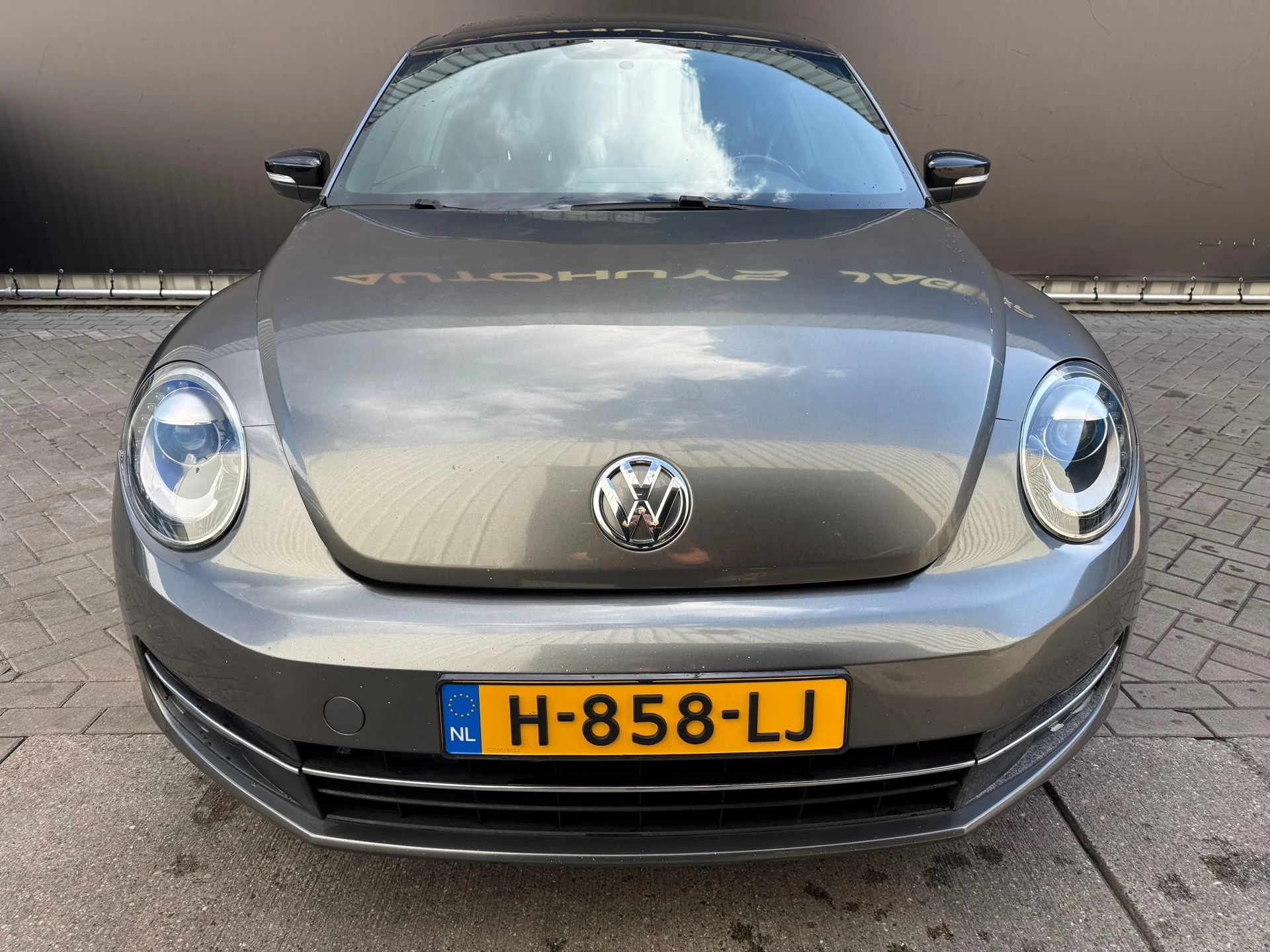 Hoofdafbeelding Volkswagen Beetle