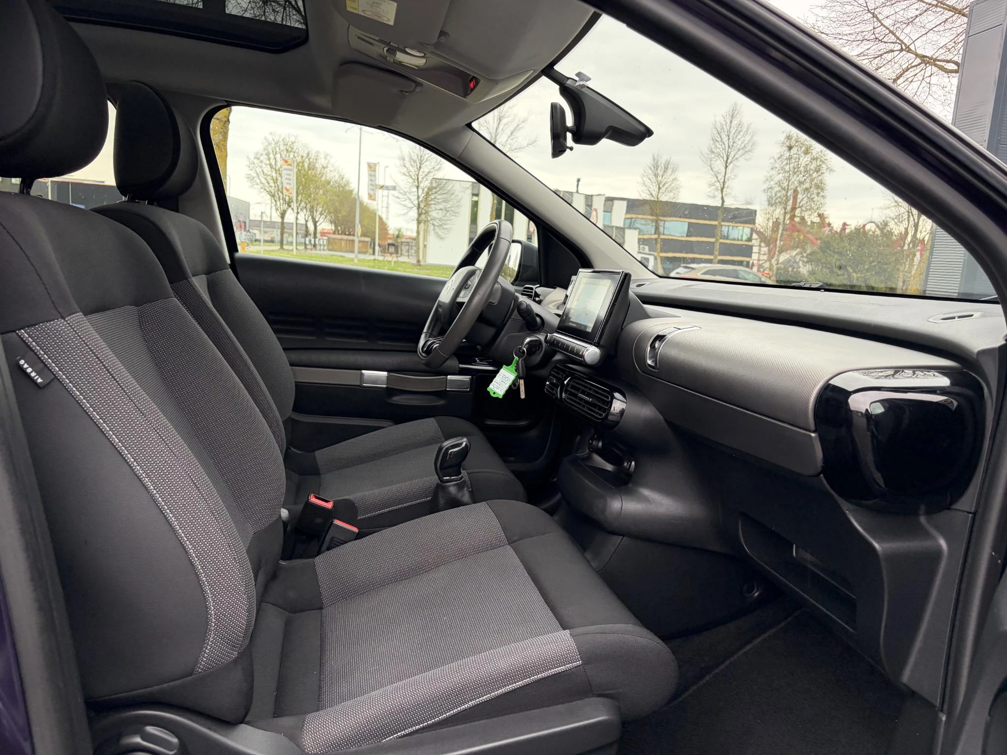 Hoofdafbeelding Citroën C4 Cactus