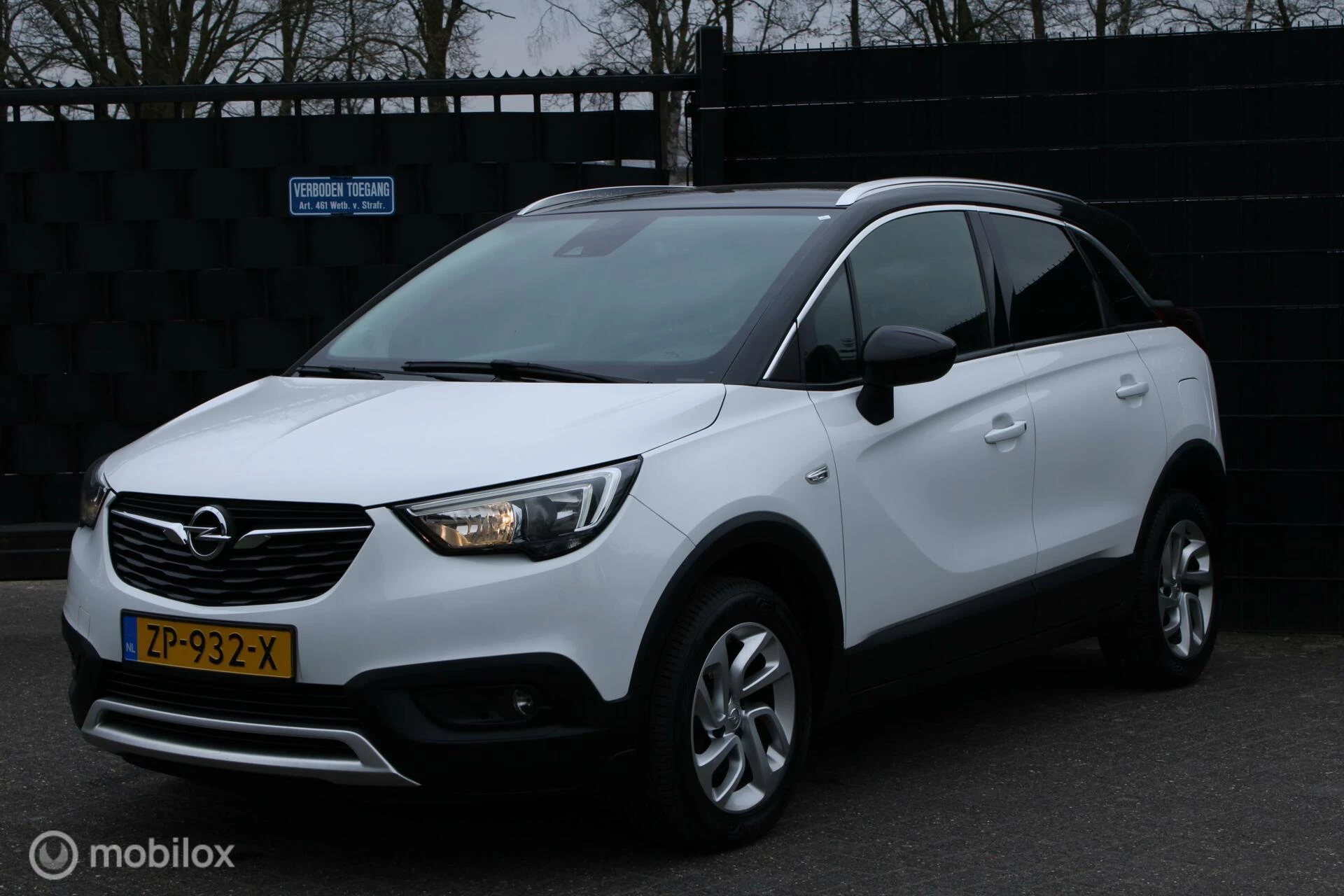 Hoofdafbeelding Opel Crossland X