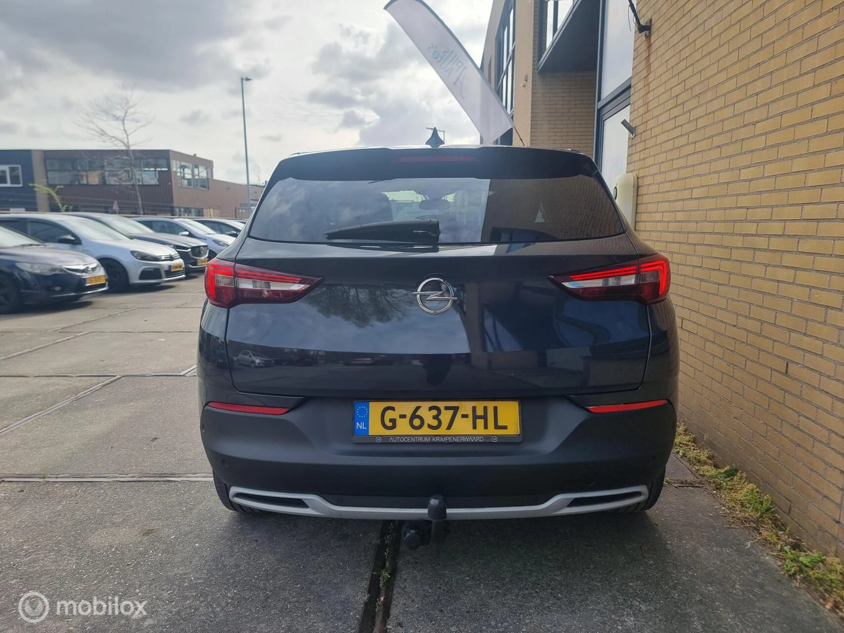 Hoofdafbeelding Opel Grandland X