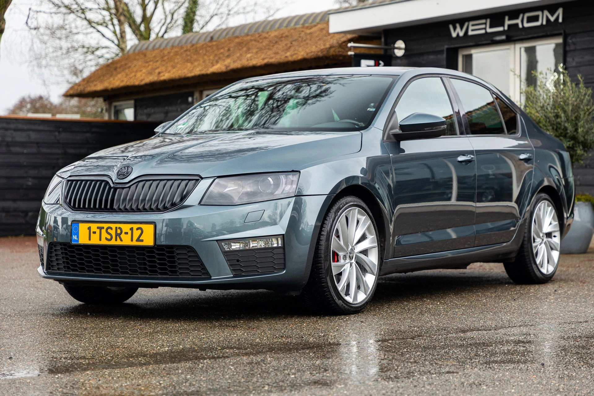 Hoofdafbeelding Škoda Octavia