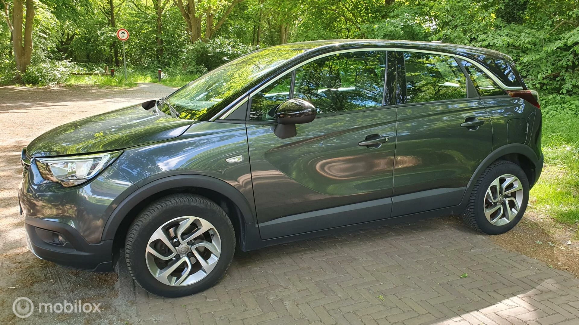 Hoofdafbeelding Opel Crossland X