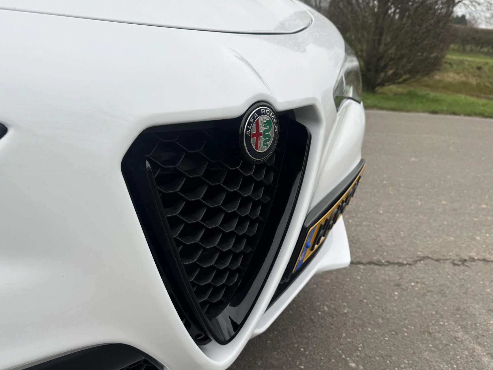 Hoofdafbeelding Alfa Romeo Stelvio
