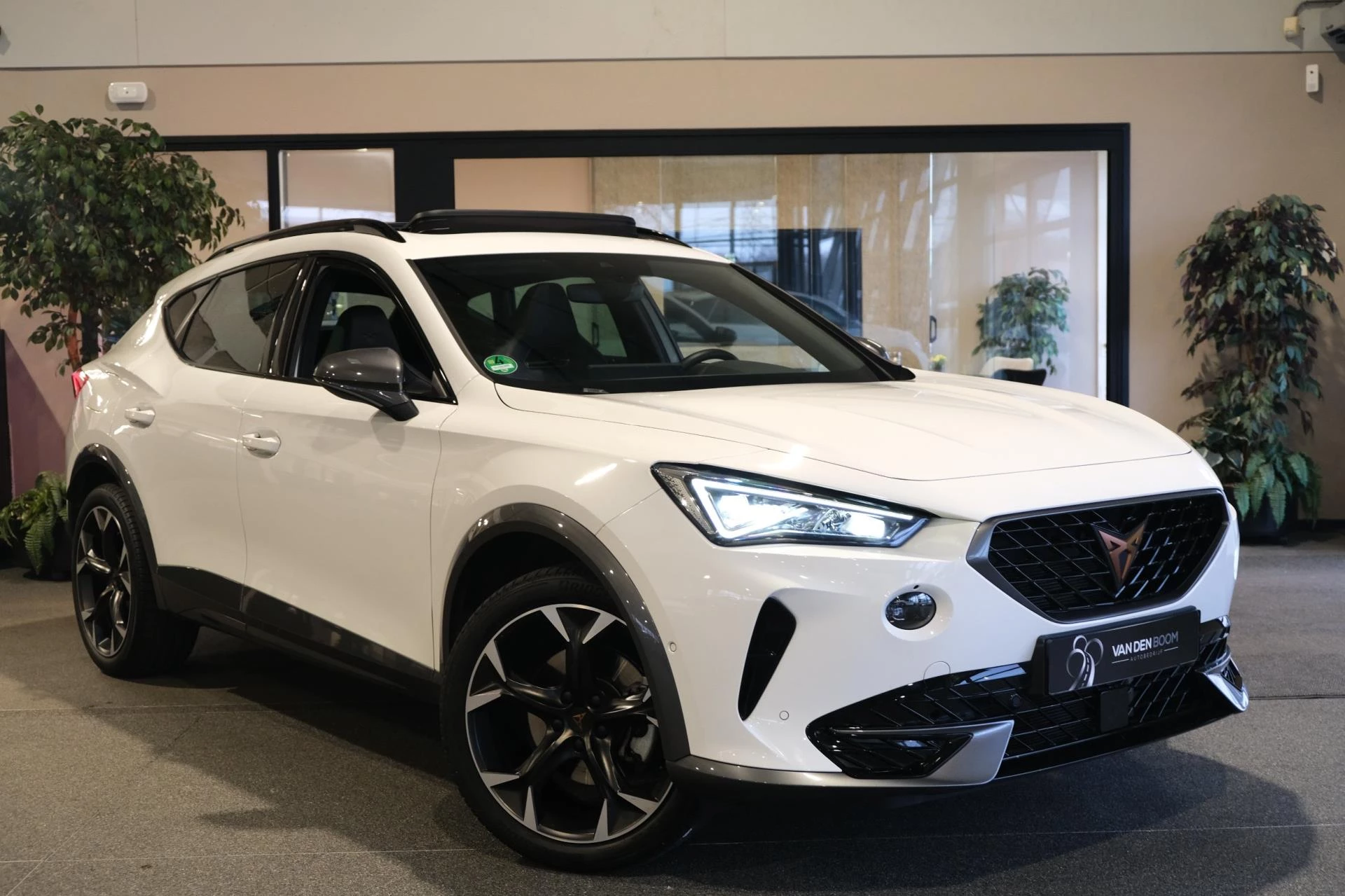 Hoofdafbeelding CUPRA Formentor