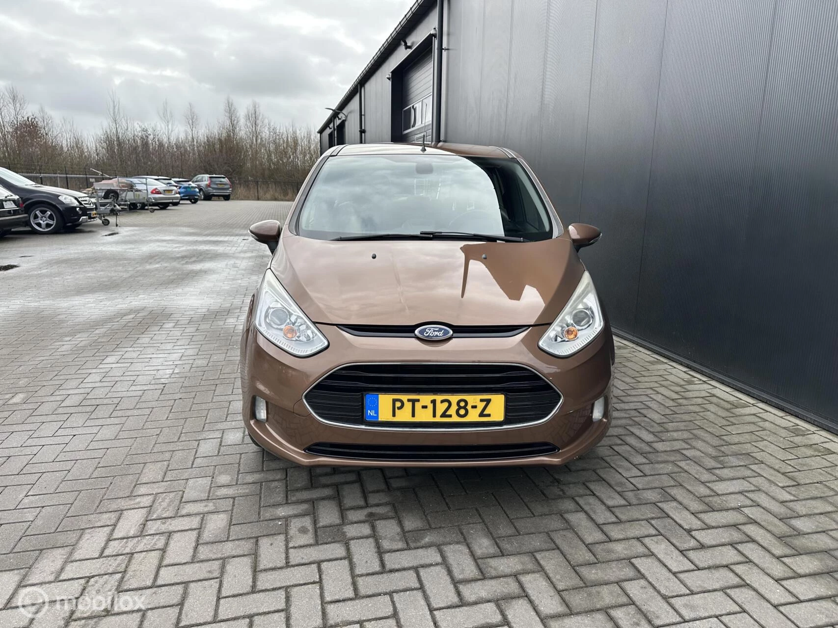 Hoofdafbeelding Ford B-MAX