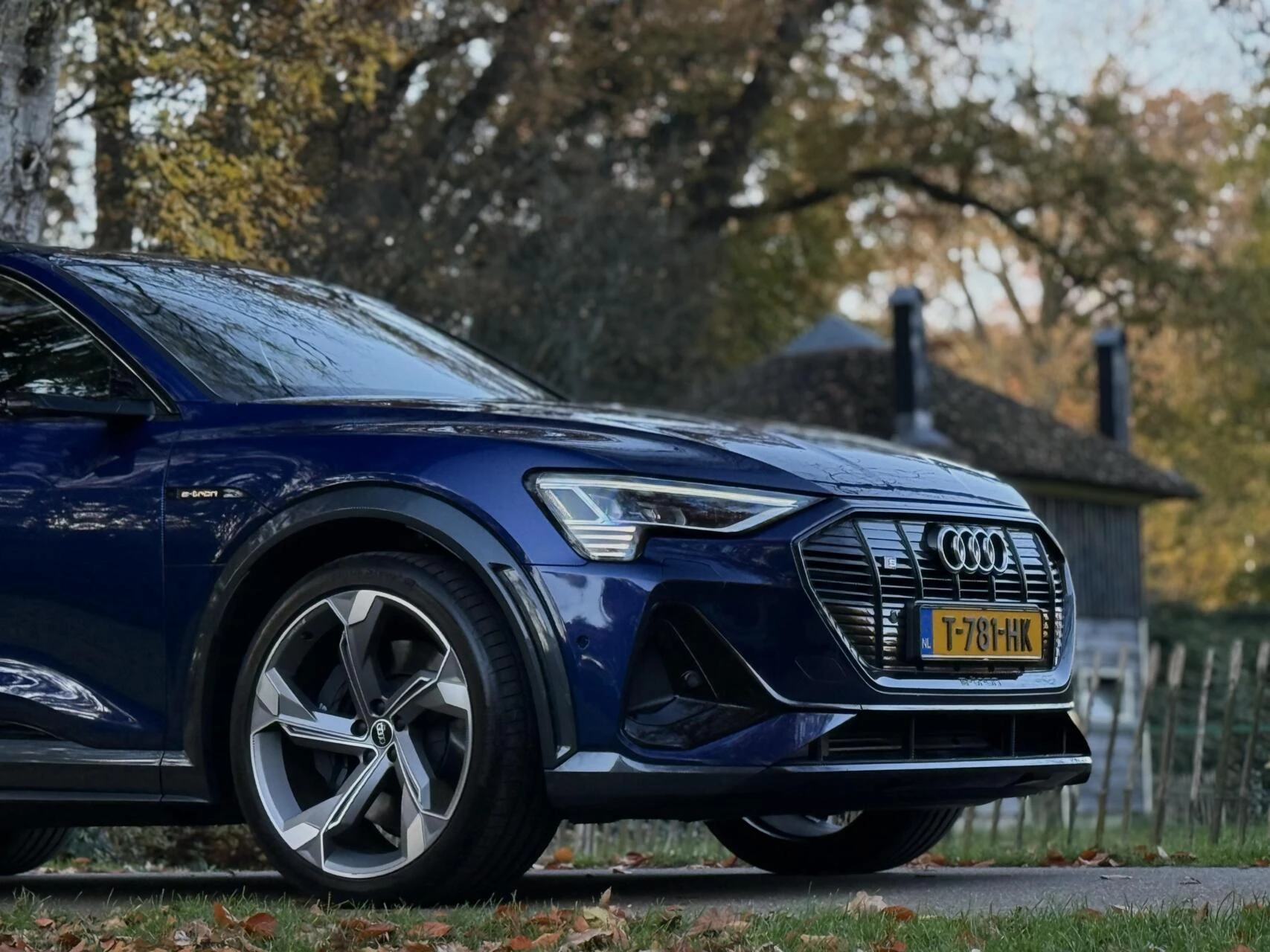 Hoofdafbeelding Audi e-tron