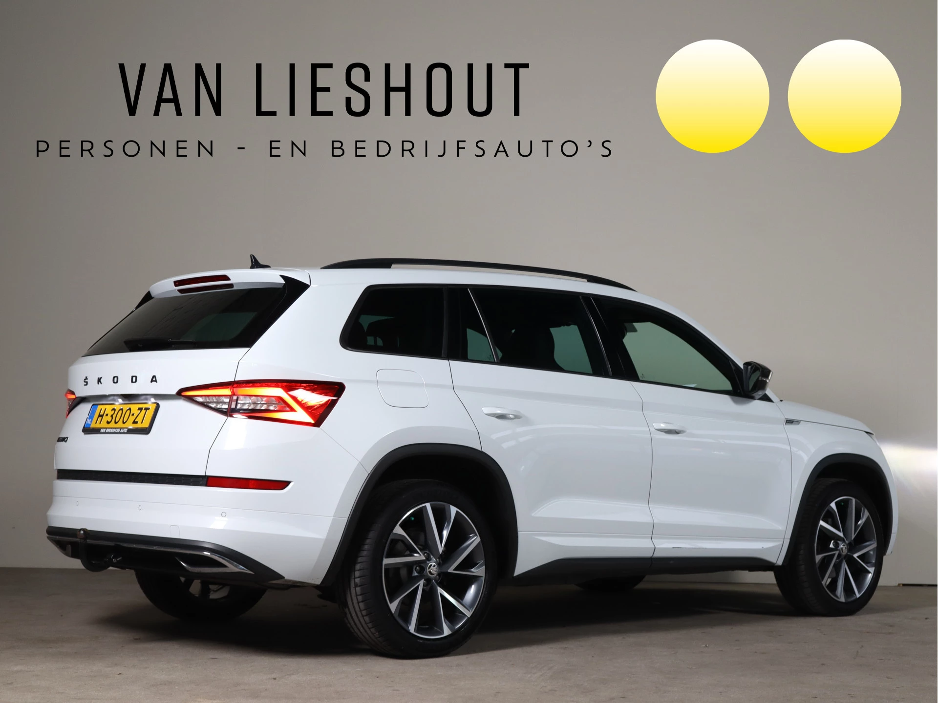 Hoofdafbeelding Škoda Kodiaq
