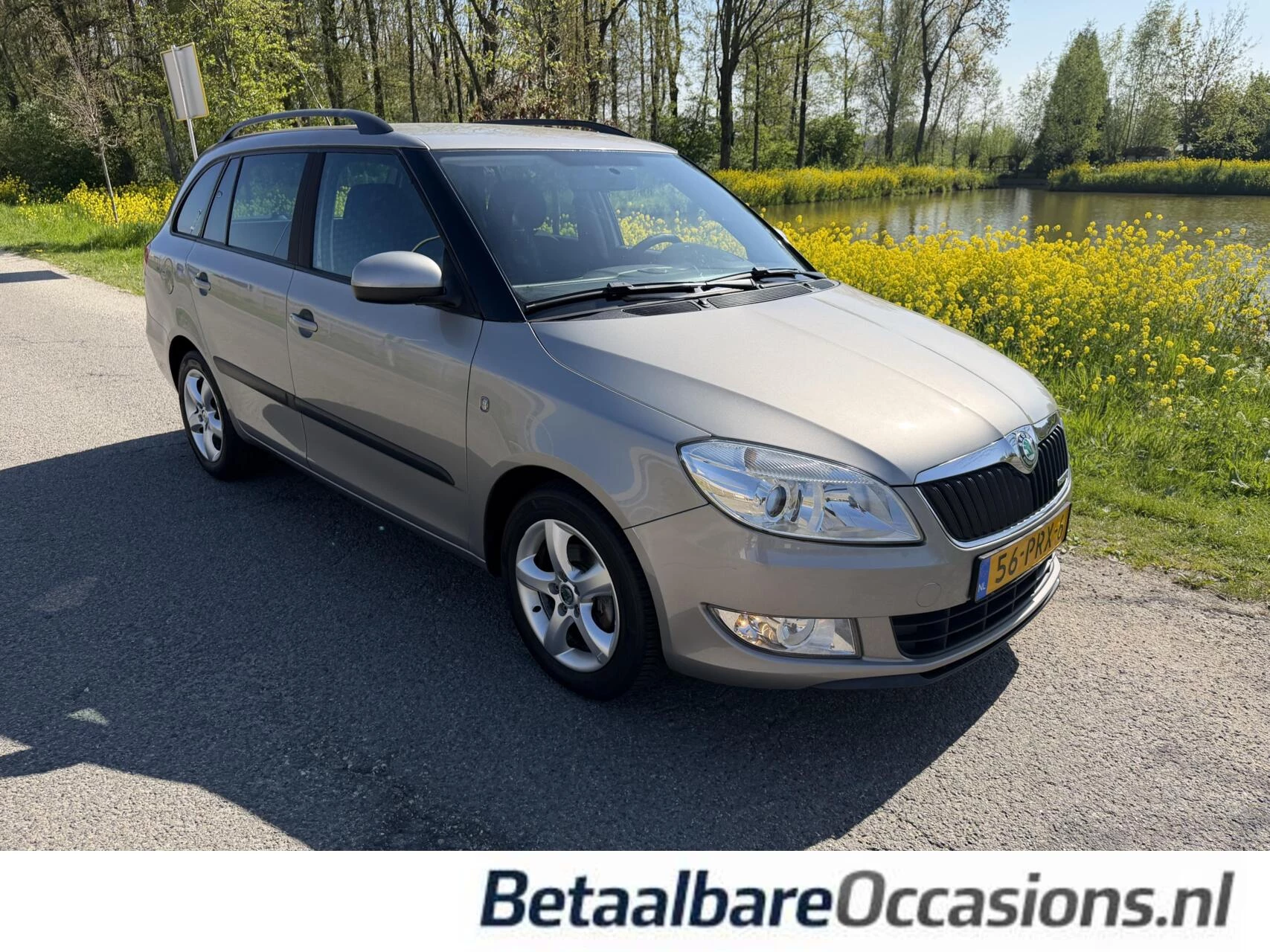 Hoofdafbeelding Škoda Fabia