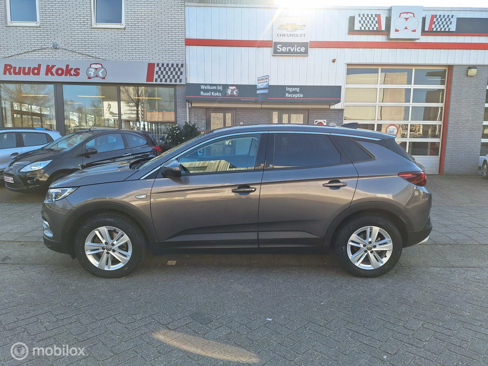 Hoofdafbeelding Opel Grandland X