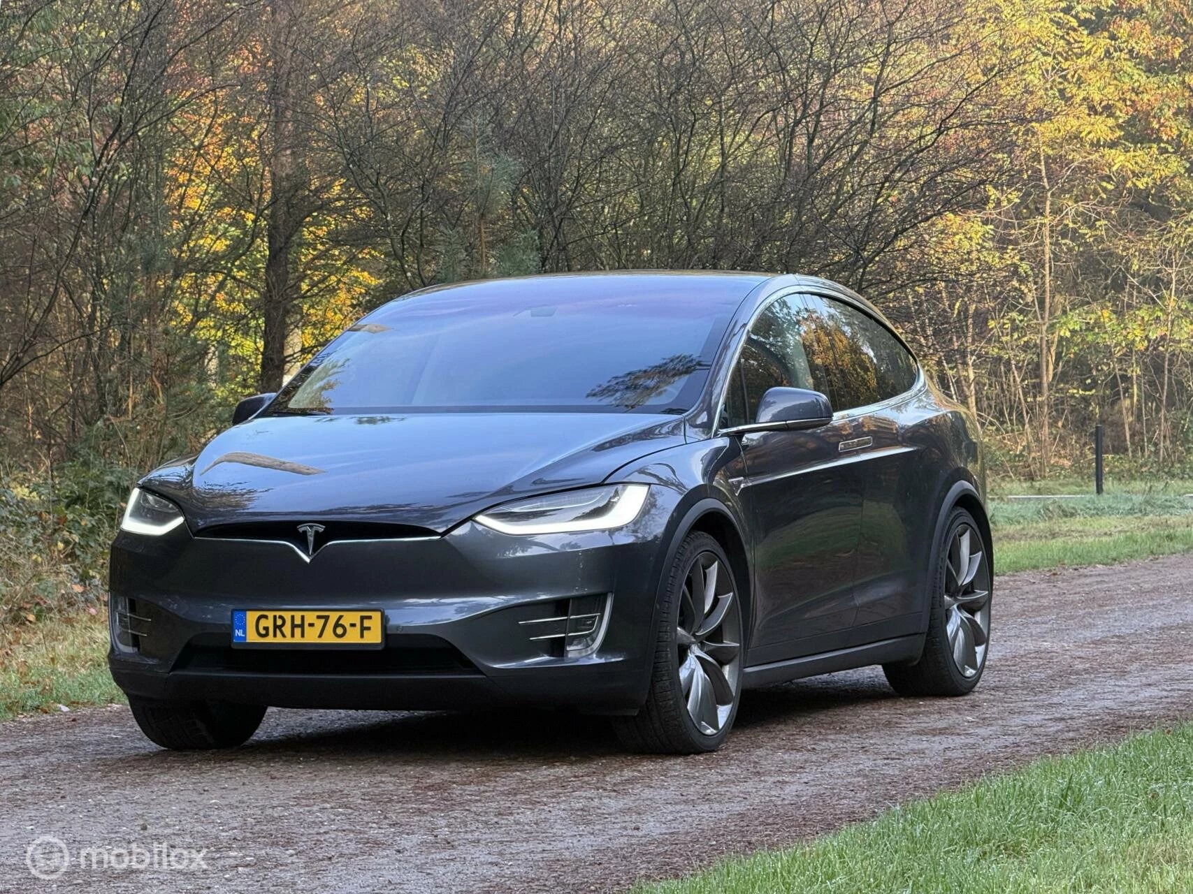 Hoofdafbeelding Tesla Model X