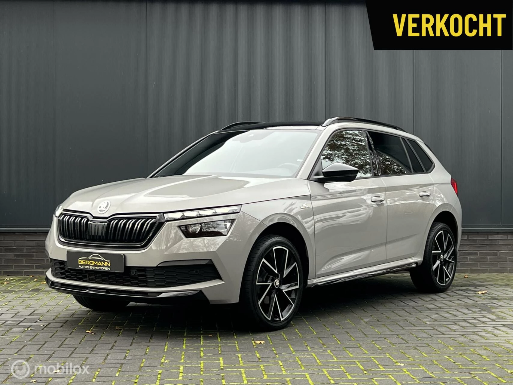 Hoofdafbeelding Škoda Kamiq