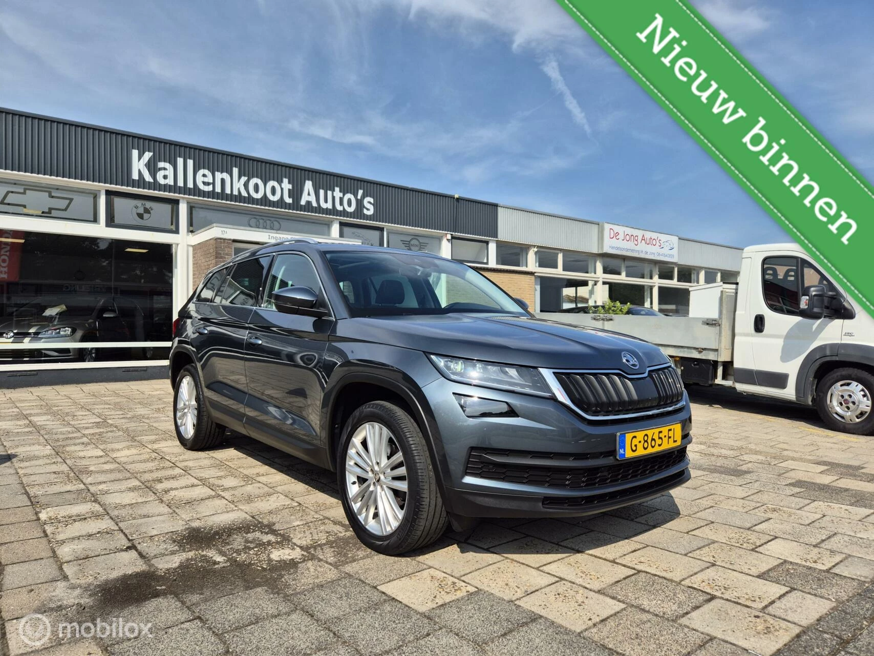 Hoofdafbeelding Škoda Kodiaq
