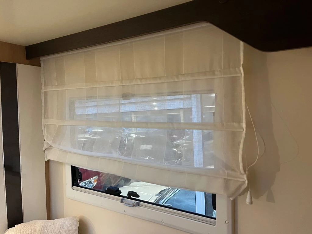 Hoofdafbeelding McLouis YEARLING