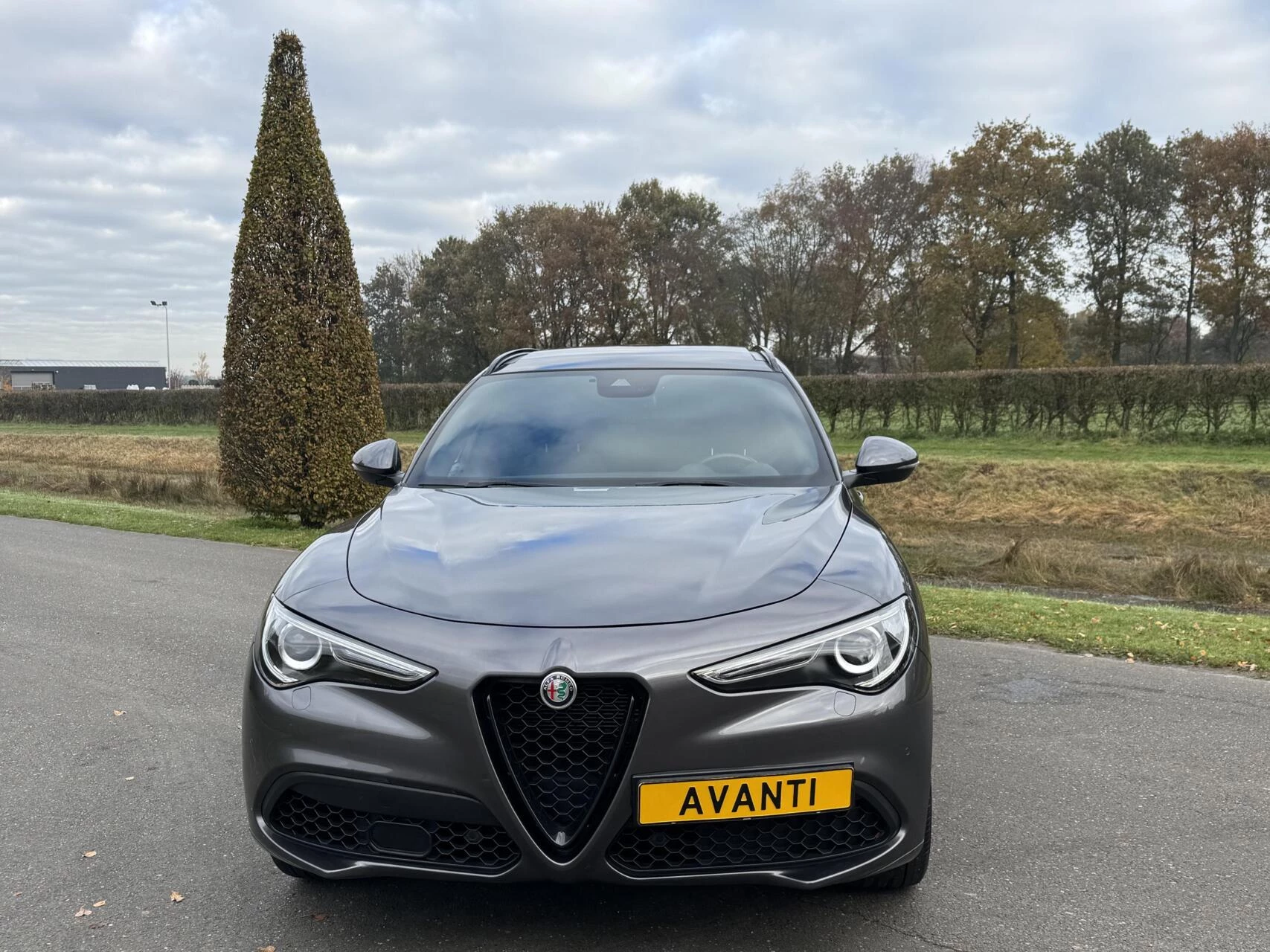 Hoofdafbeelding Alfa Romeo Stelvio