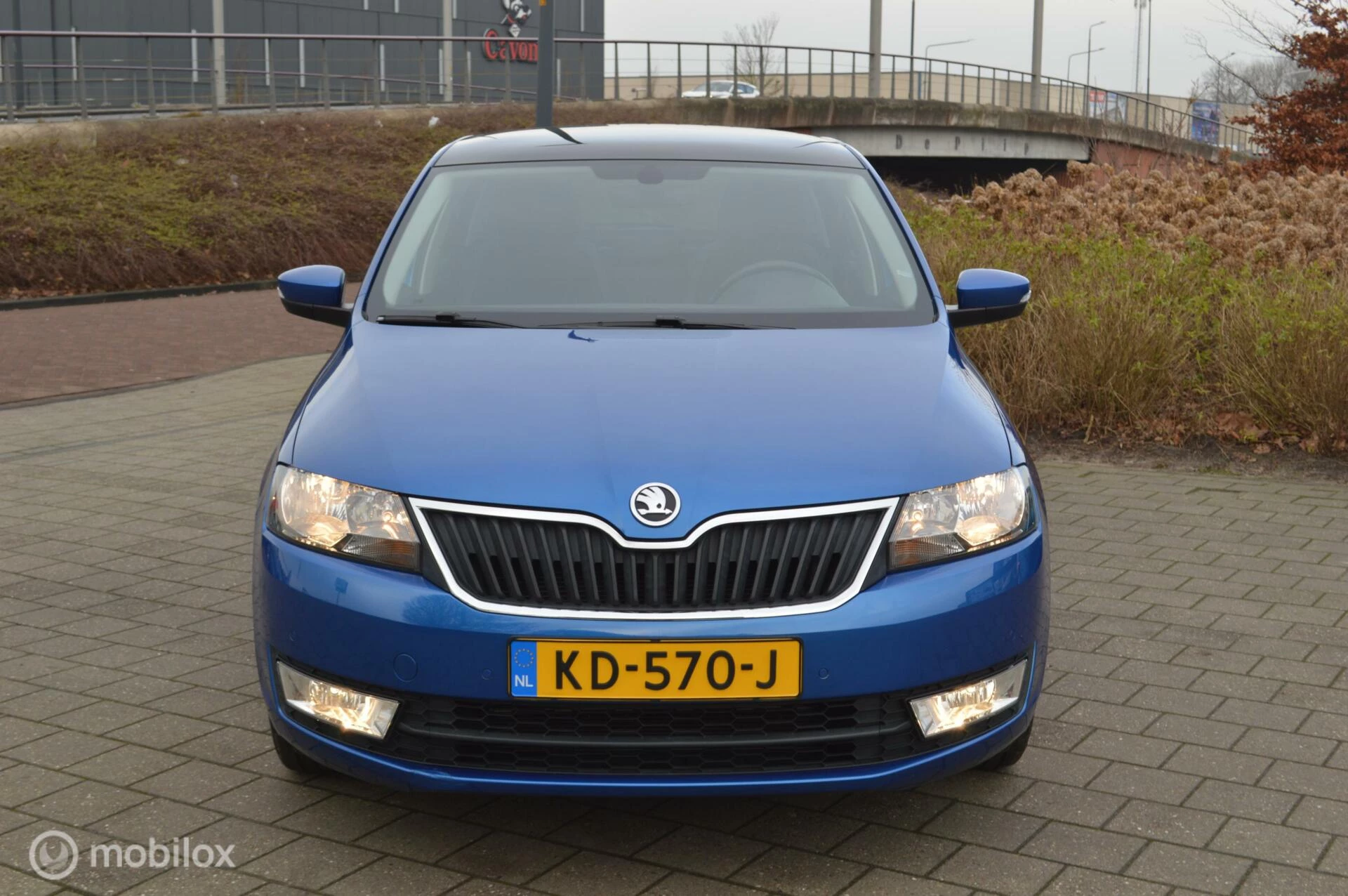 Hoofdafbeelding Škoda Rapid