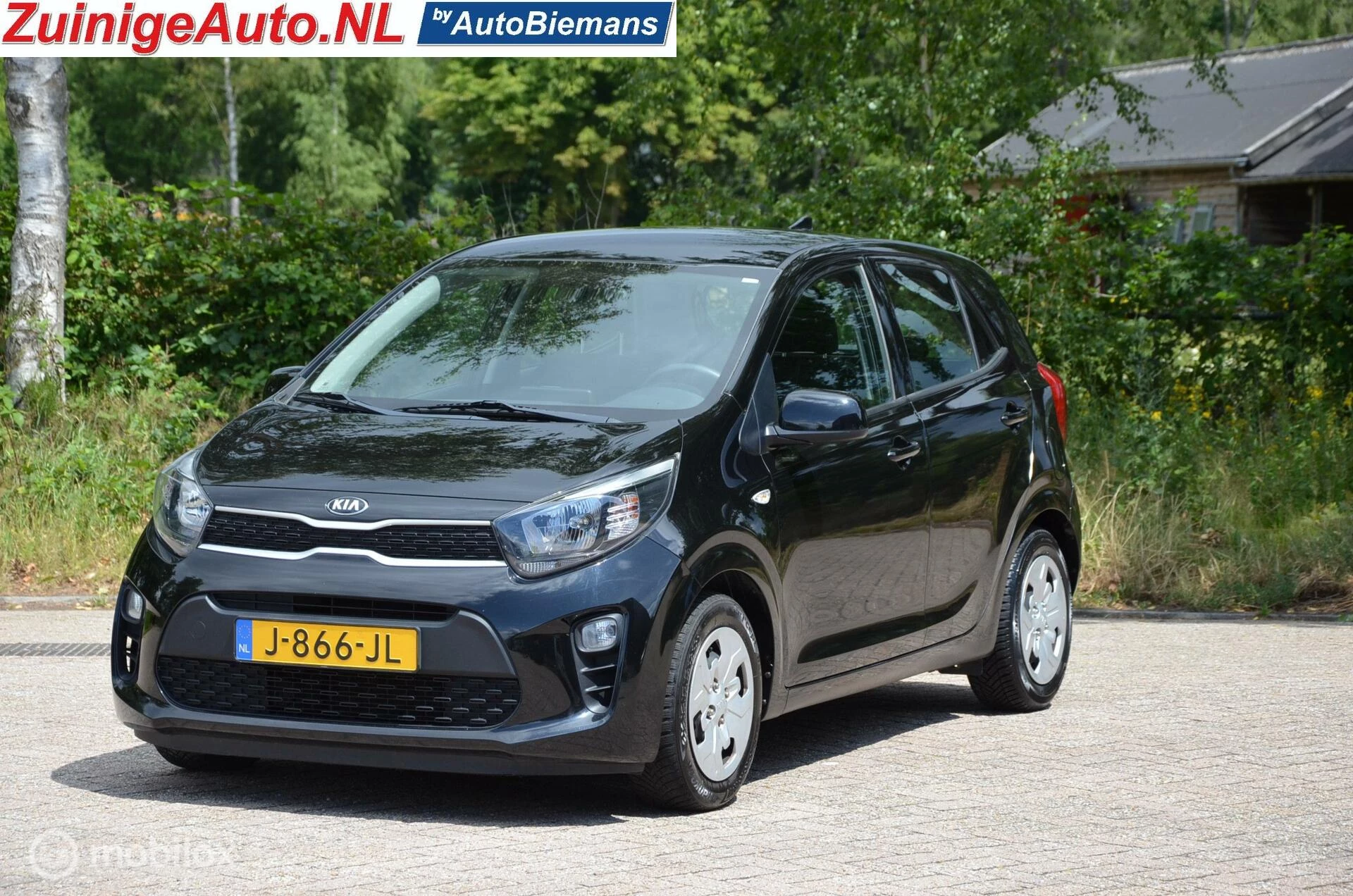 Hoofdafbeelding Kia Picanto