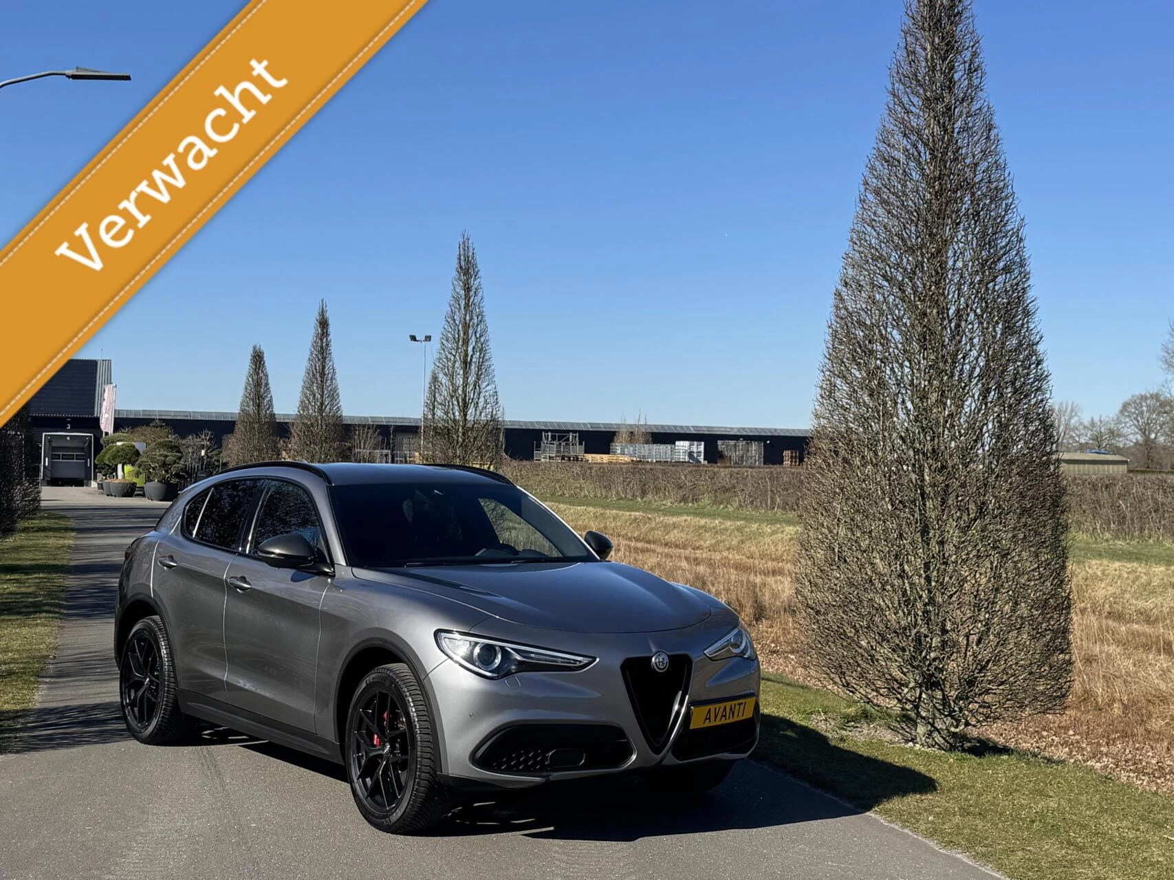 Hoofdafbeelding Alfa Romeo Stelvio