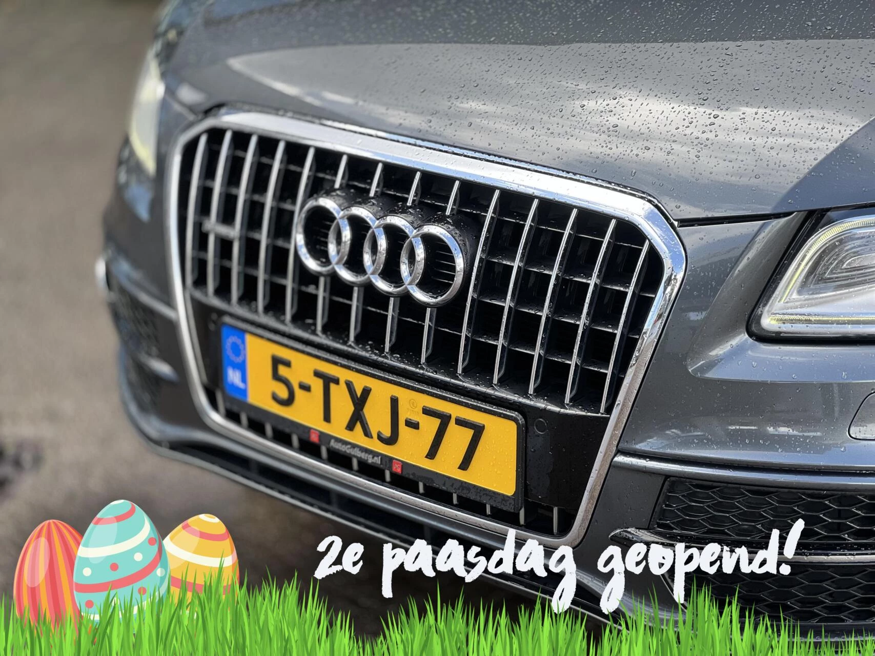 Hoofdafbeelding Audi Q5