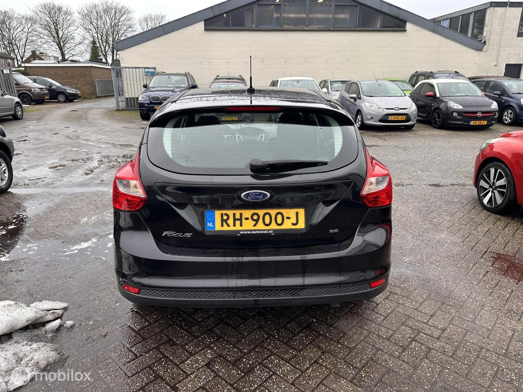 Hoofdafbeelding Ford Focus