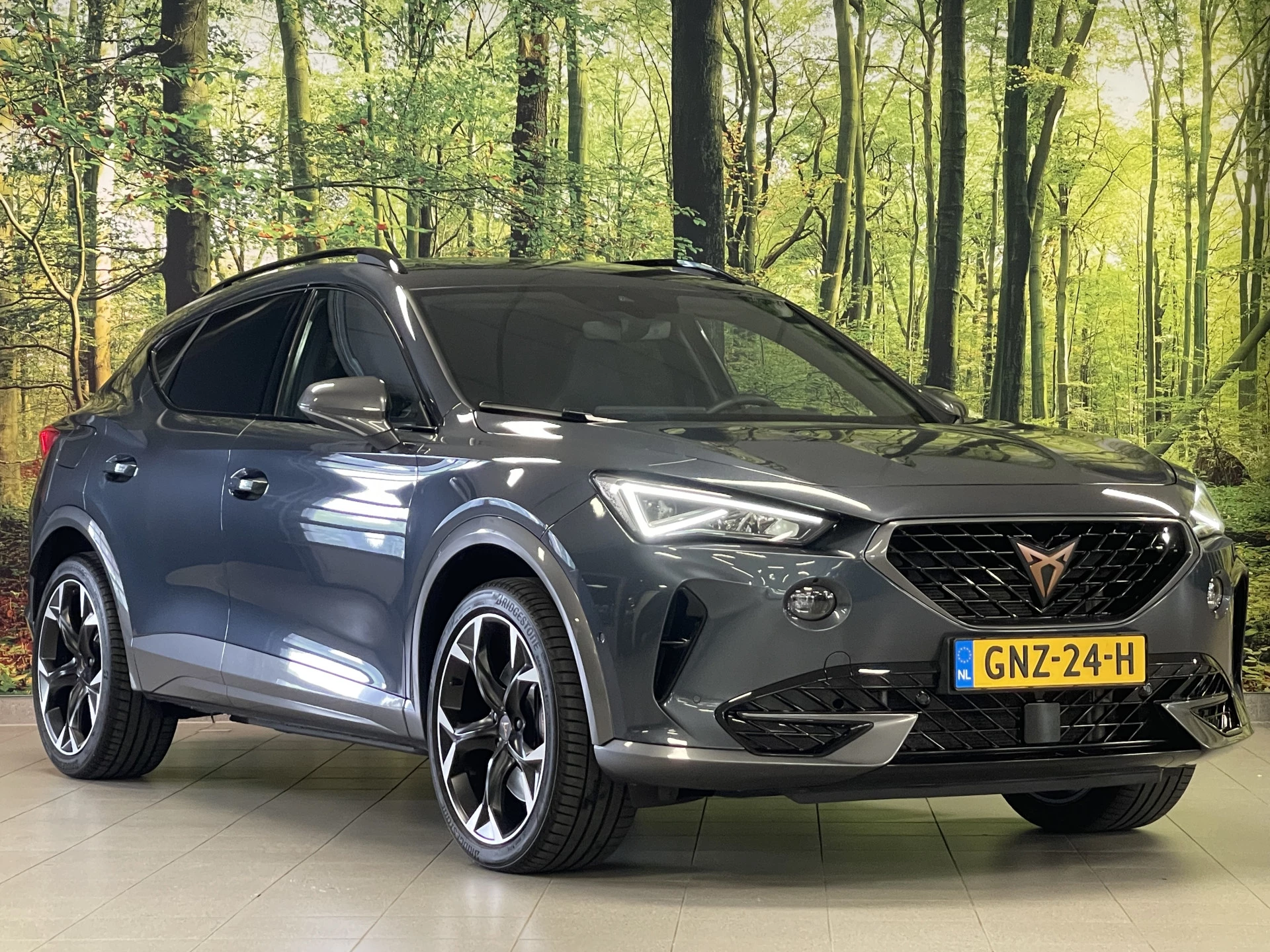 Hoofdafbeelding CUPRA Formentor
