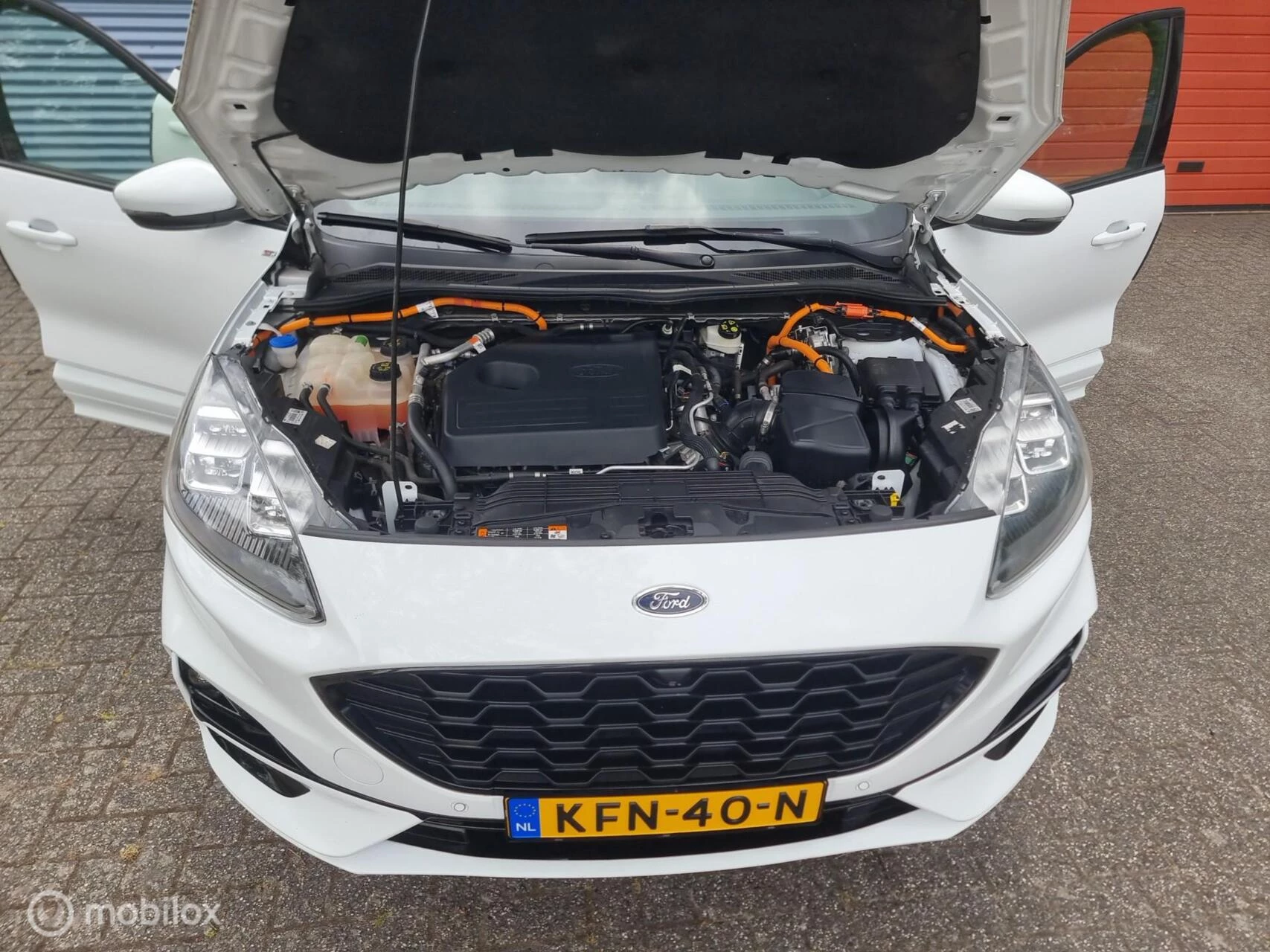Hoofdafbeelding Ford Kuga