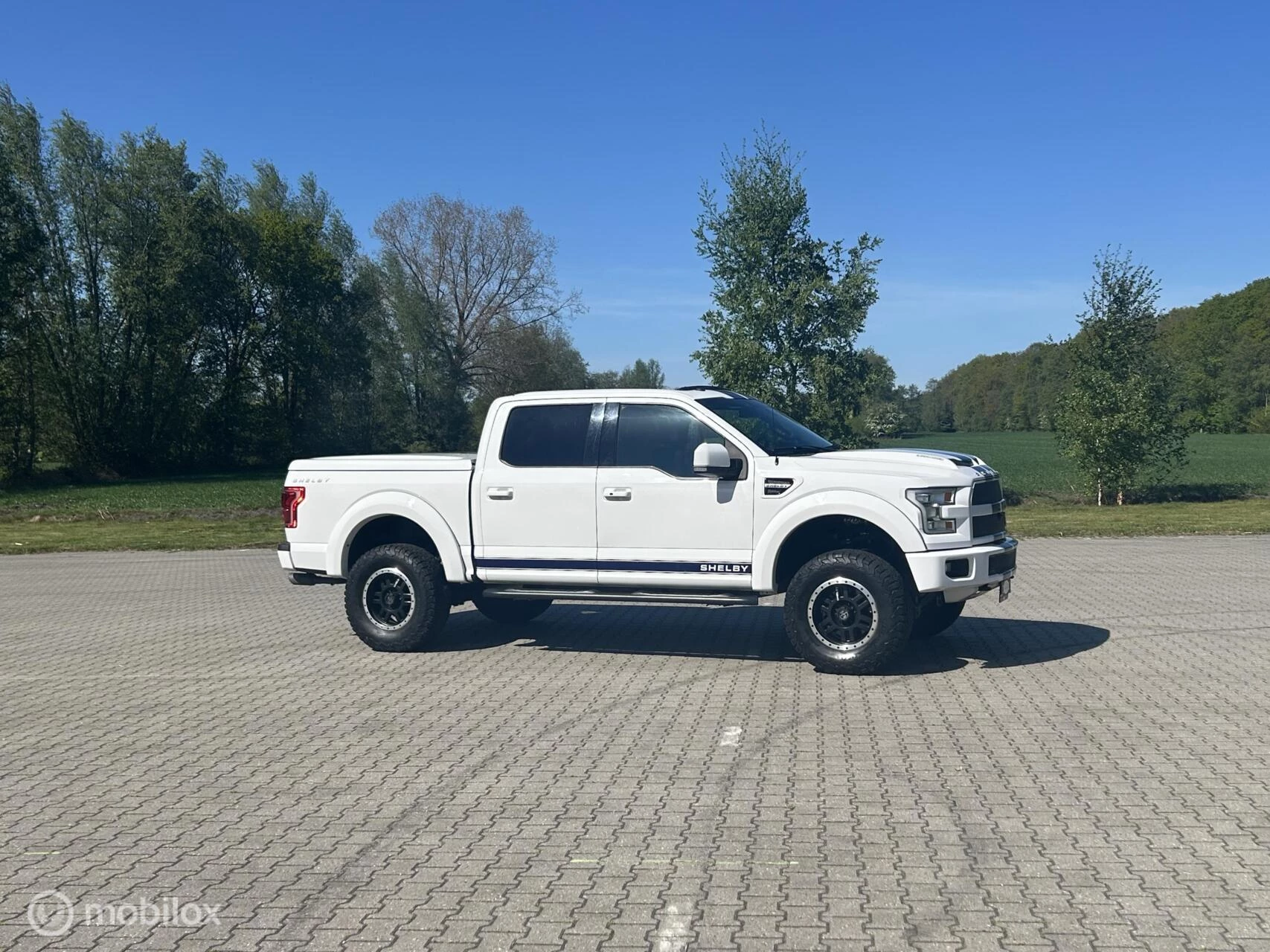Hoofdafbeelding Ford F-150