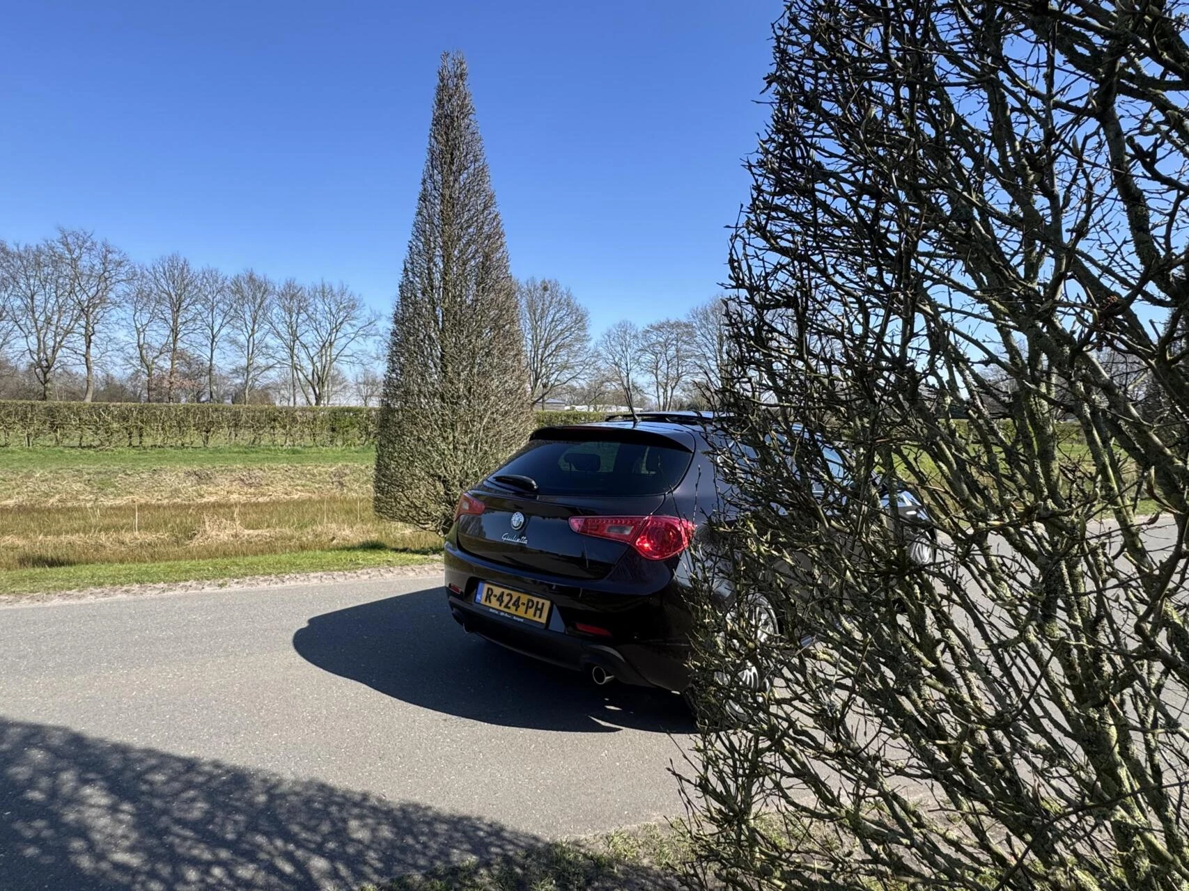 Hoofdafbeelding Alfa Romeo Giulietta